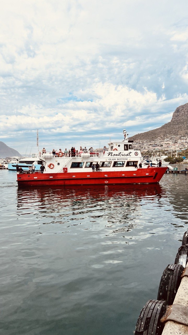 Дорога вдоль океана: Чапменс-Пик, Мыс Доброй Надежды и Пингвины (10/14)