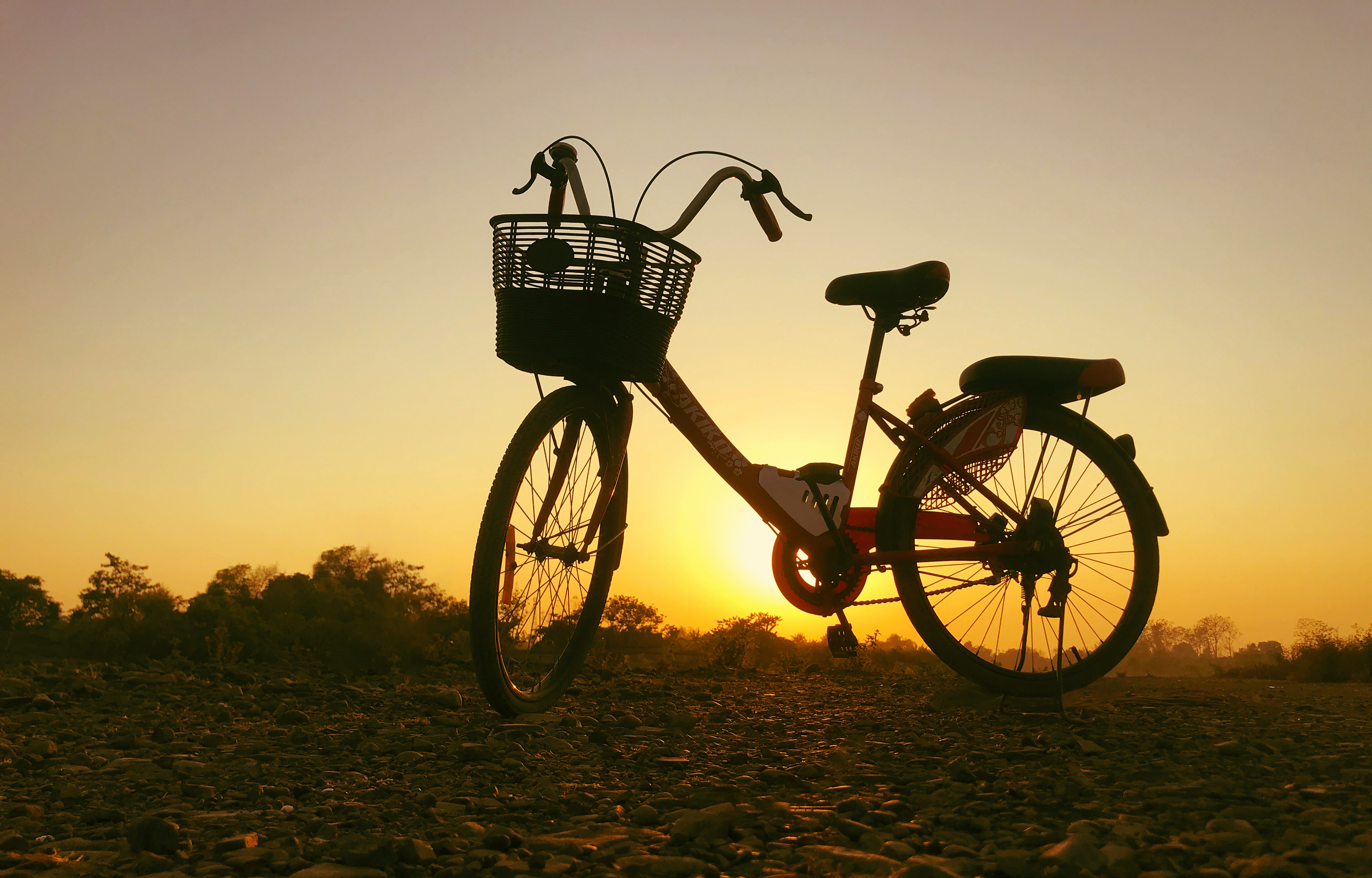 Юар: Кейптаун, киты, пингвины и винодельни (12/21)