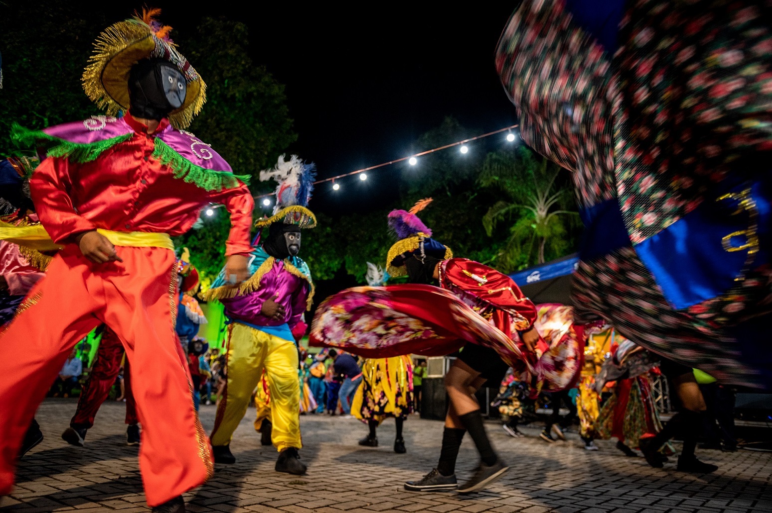 Пантанал. Экспедиция с Алексом Мзунгу от Серрадо до Пантанала (13/19)