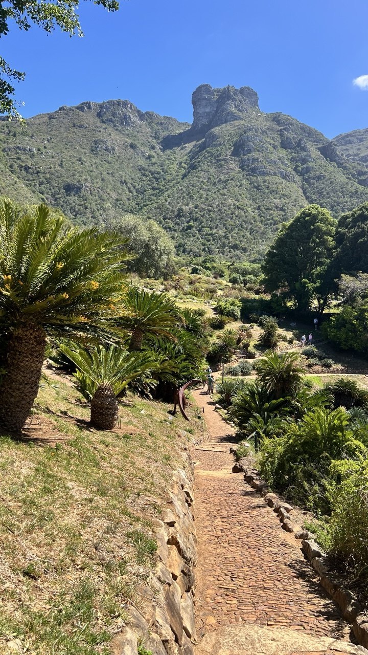 Контрасты Кейптауна: Ланга, великое вино и сады у Столовой горы (6/17)