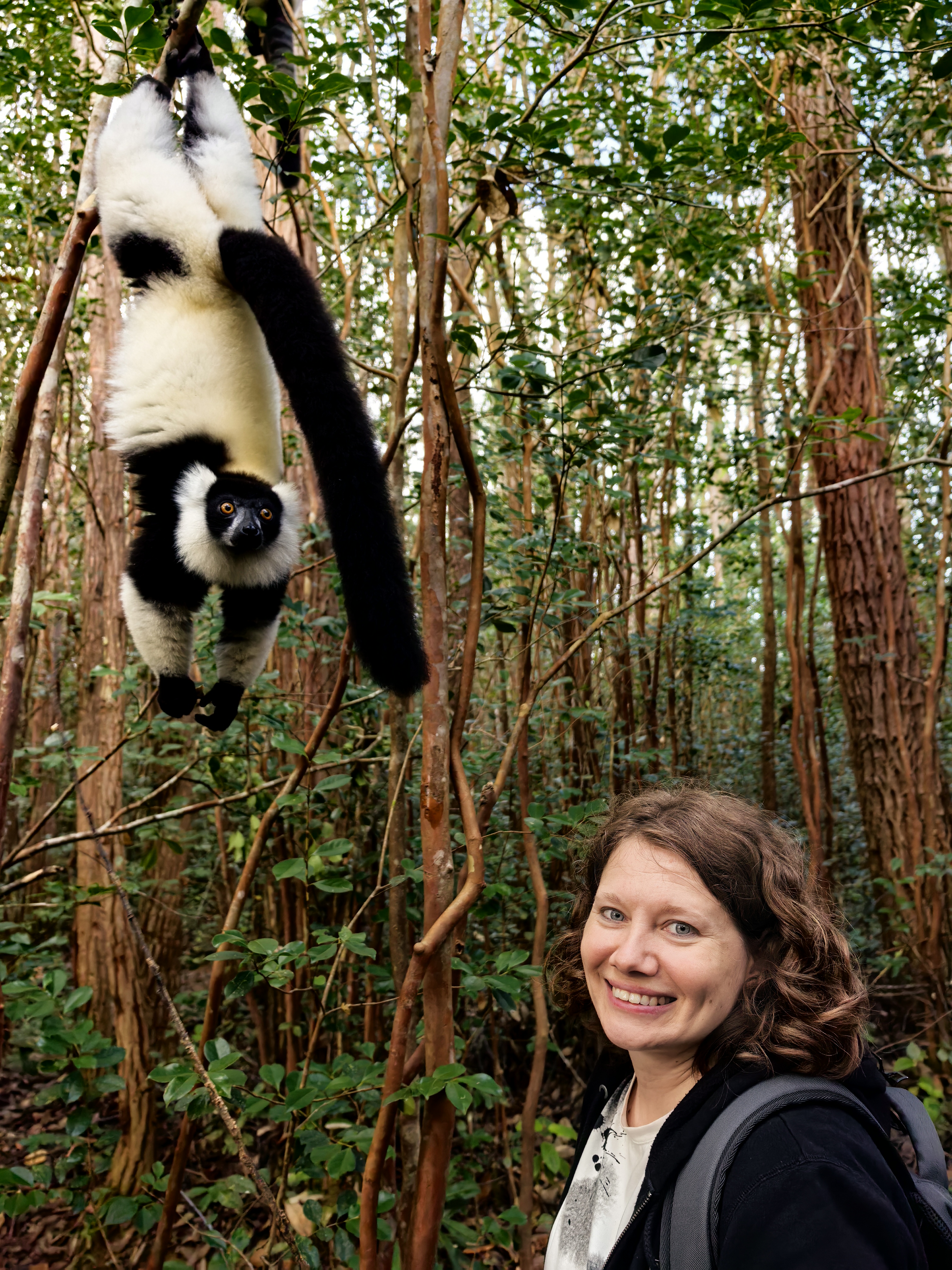 7 дней Экспедиция в тропические леса Восточного Мадагаскара (55/57)