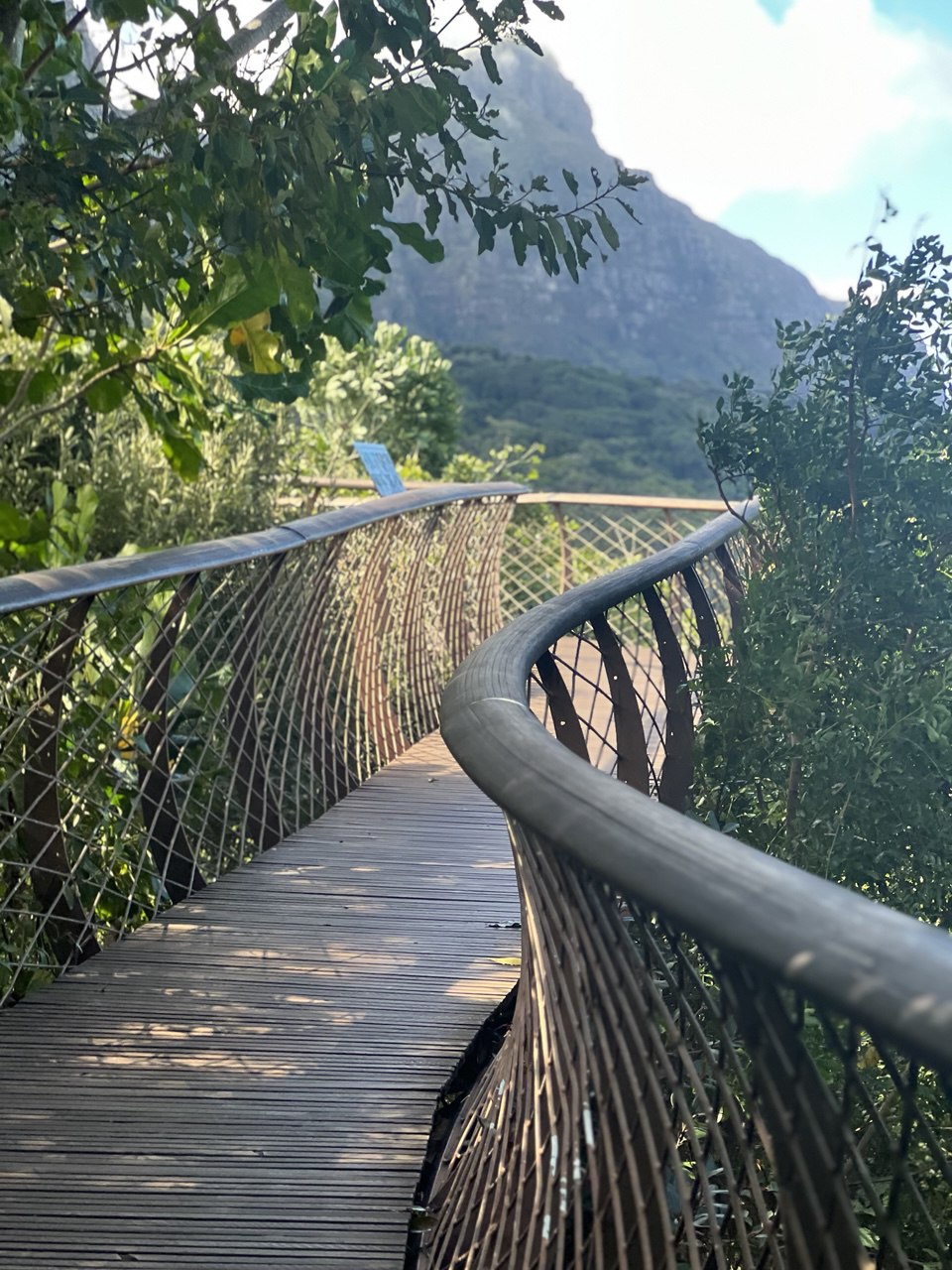 Контрасты Кейптауна: Ланга, великое вино и сады у Столовой горы (17/17)