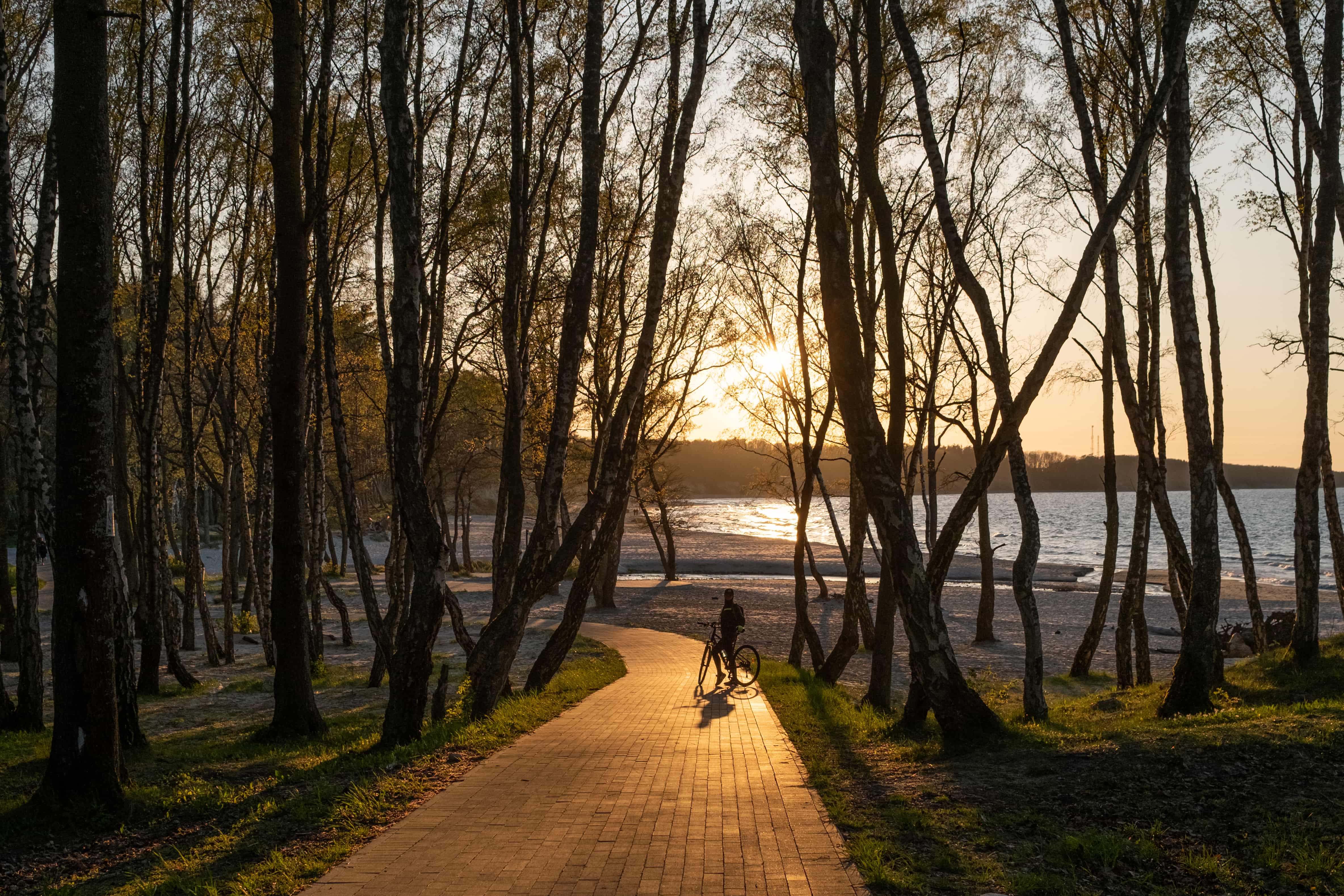 Колесо Обозрения (15/42)