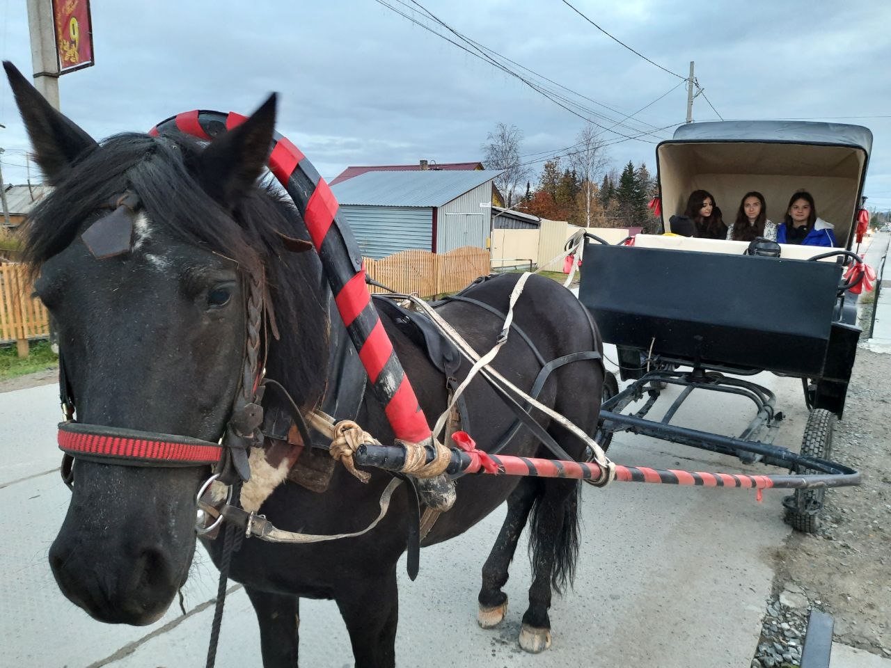 Лето На Обских Берегах: тур выходного дня (8/16)