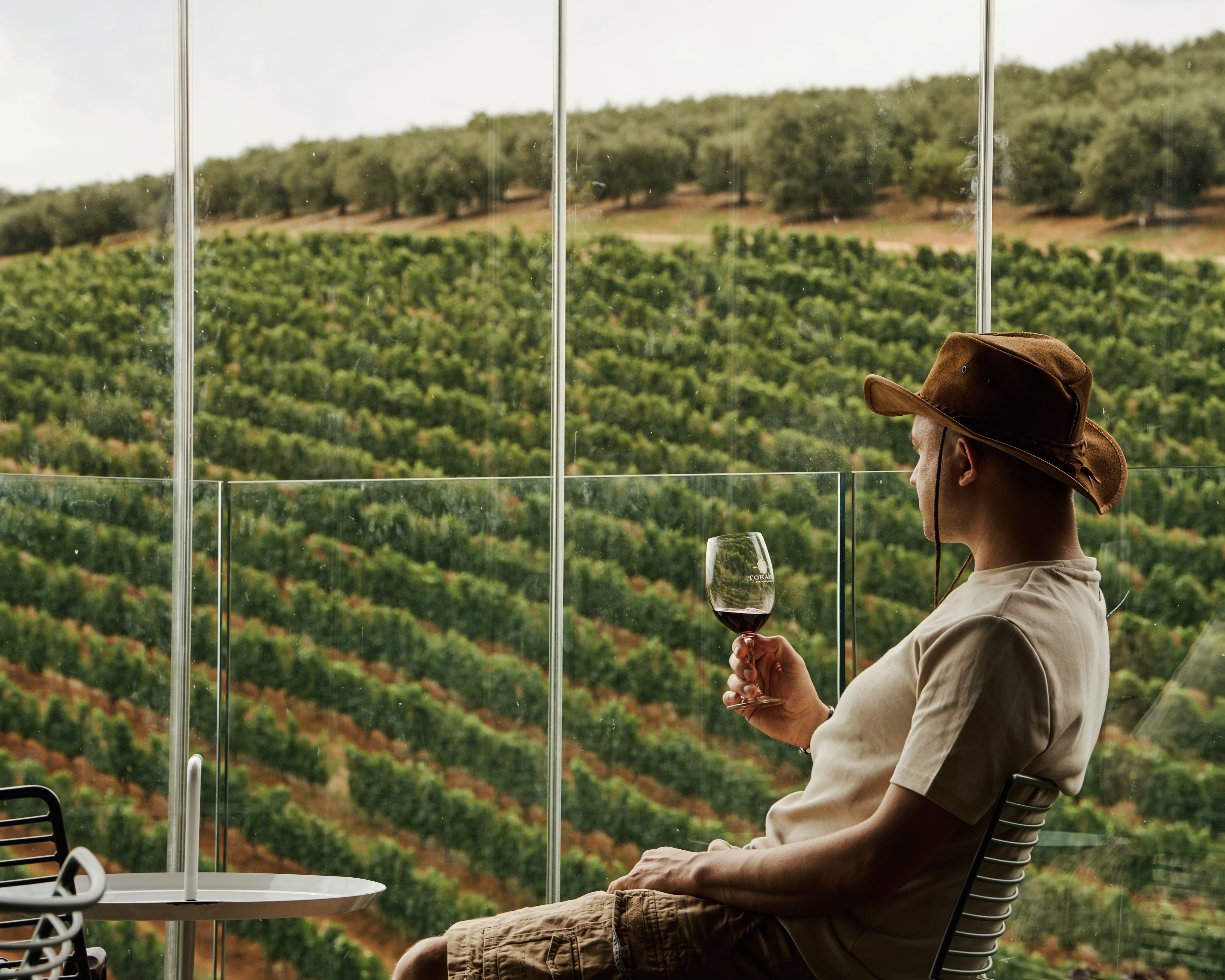 Юар: Кейптаун, киты, пингвины и винодельни