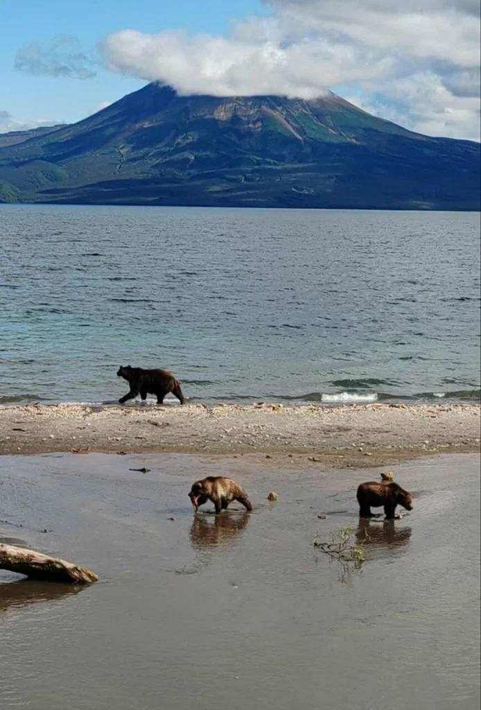 Камчатка и Сахалин + вертолетная экскурсия над вулканами (14/21)