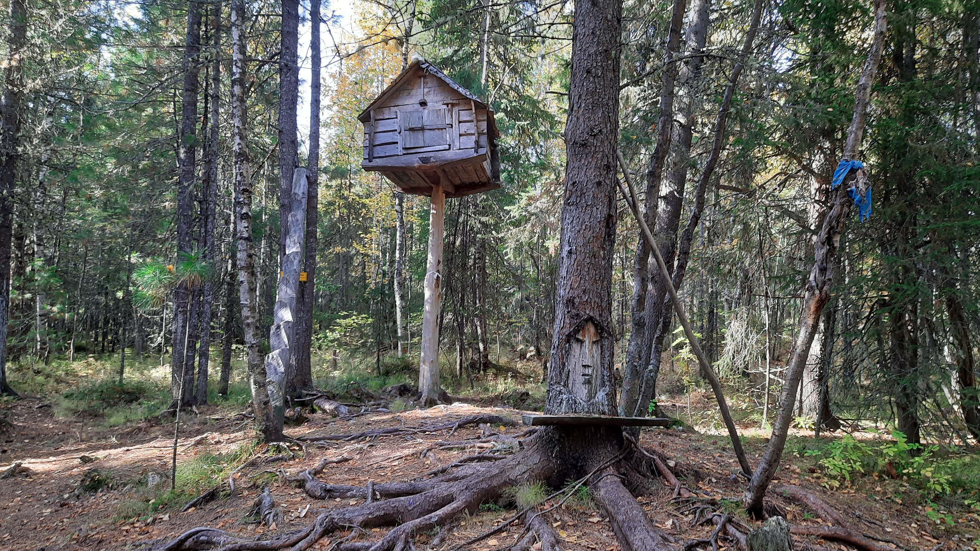 Лето На Обских Берегах: тур выходного дня (2/16)