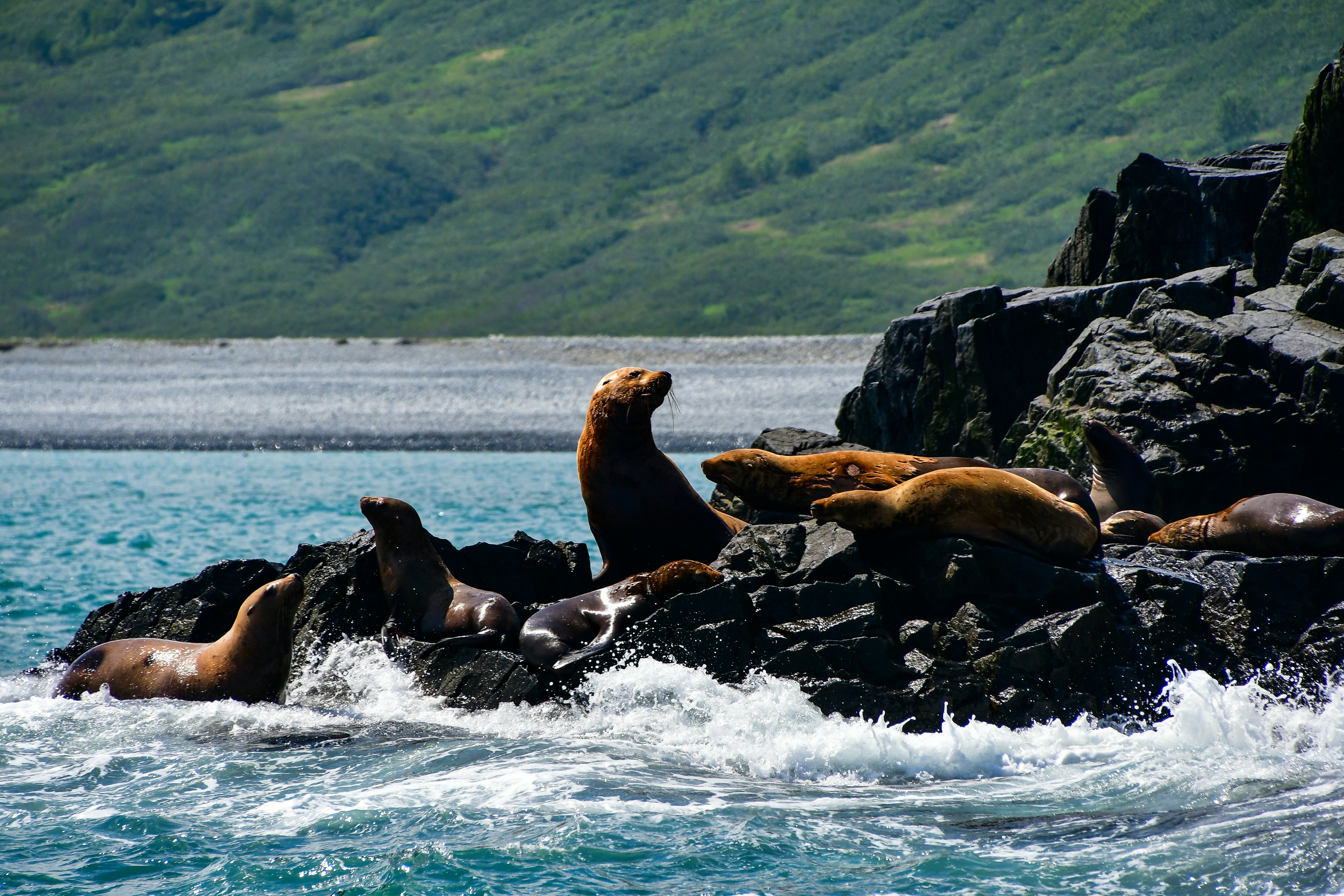 Тур на Камчатку на май месяц (15/17)