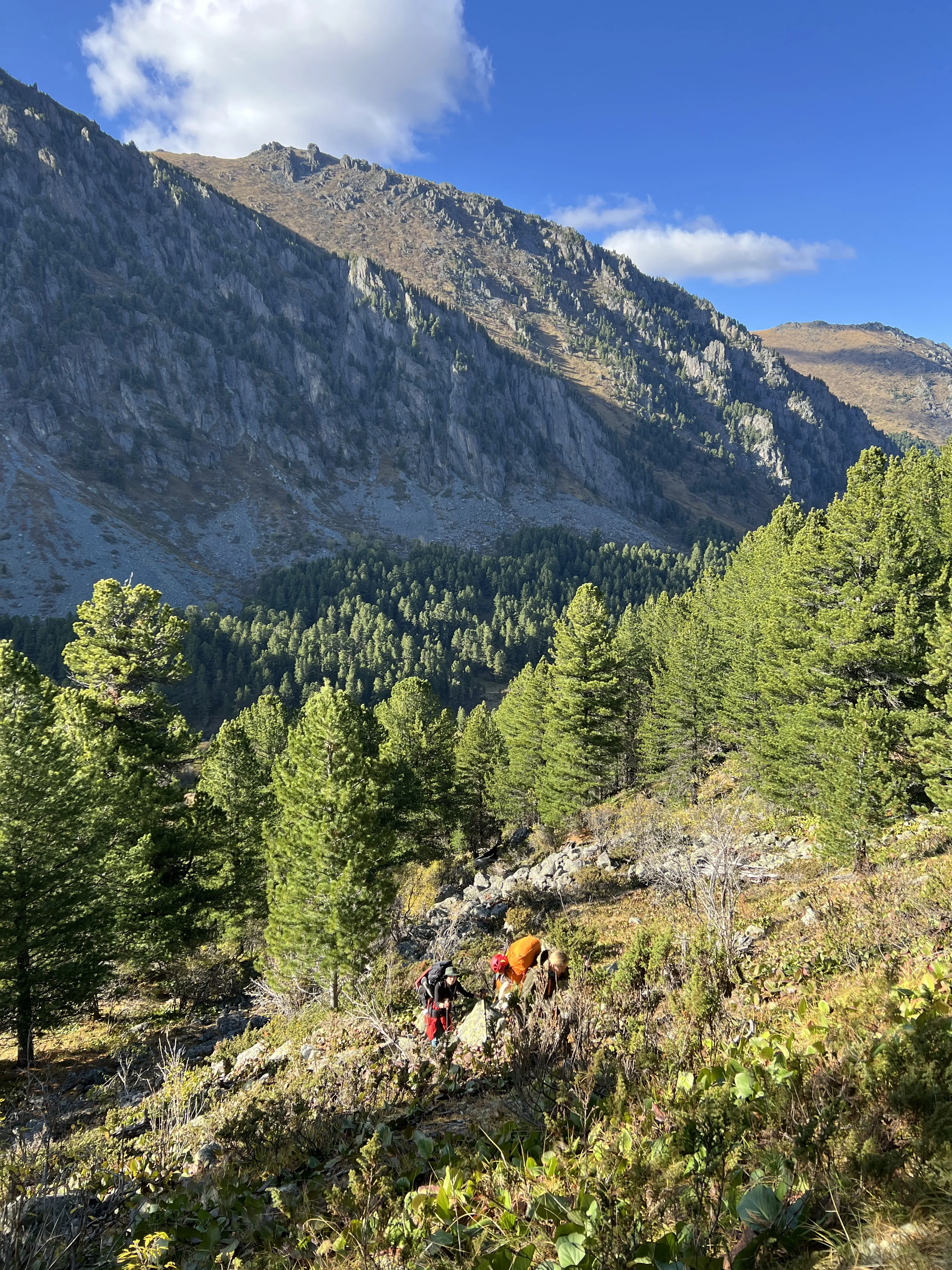 Катунские высокогорья (19/36)