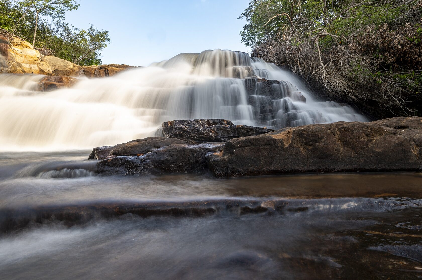 Пантанал. Экспедиция с Алексом Мзунгу от Серрадо до Пантанала (16/19)