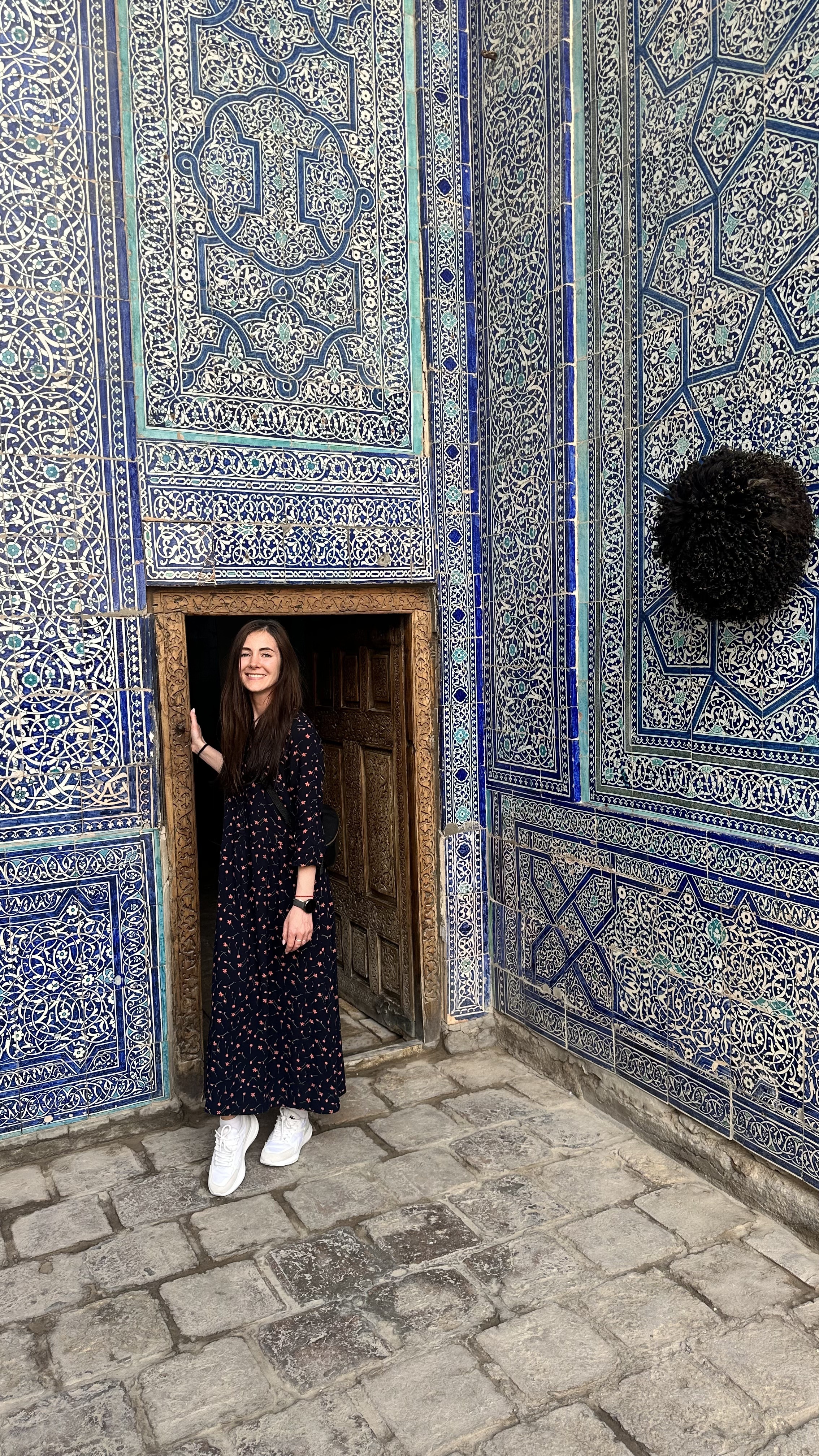 Увидеть Весь Узбекистан За 8 Дней (89/100)