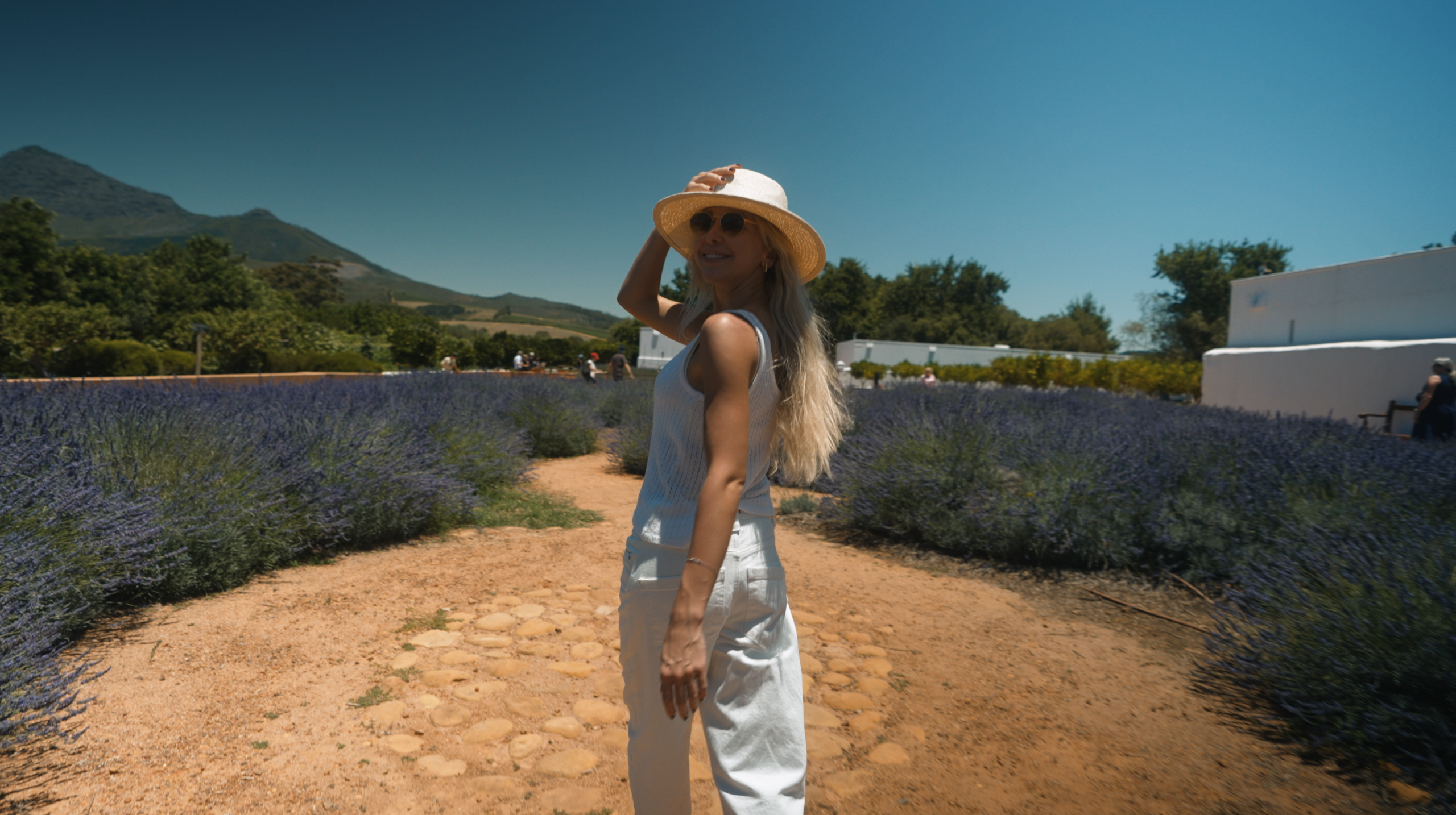 Юар: Кейптаун, киты, пингвины и винодельни (19/21)