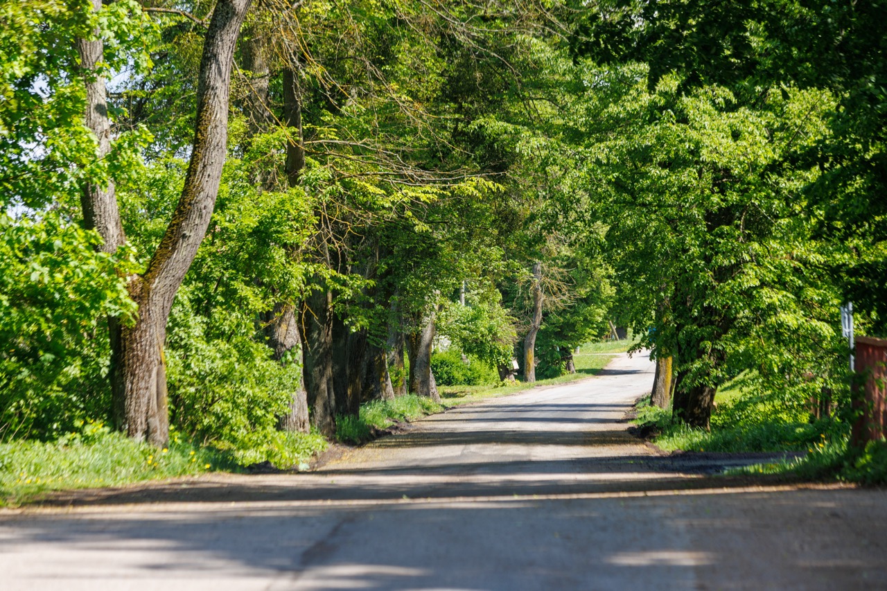 Колесо Обозрения (7/42)