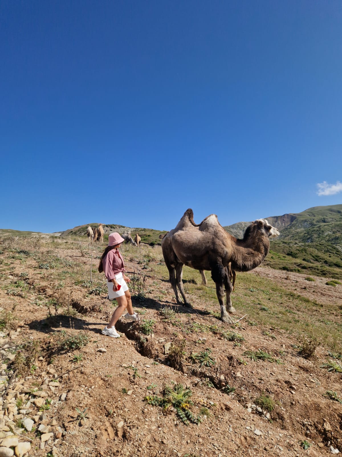 Азербайджан и Грузия за 8 дней. Две страны - два мира (119/131)
