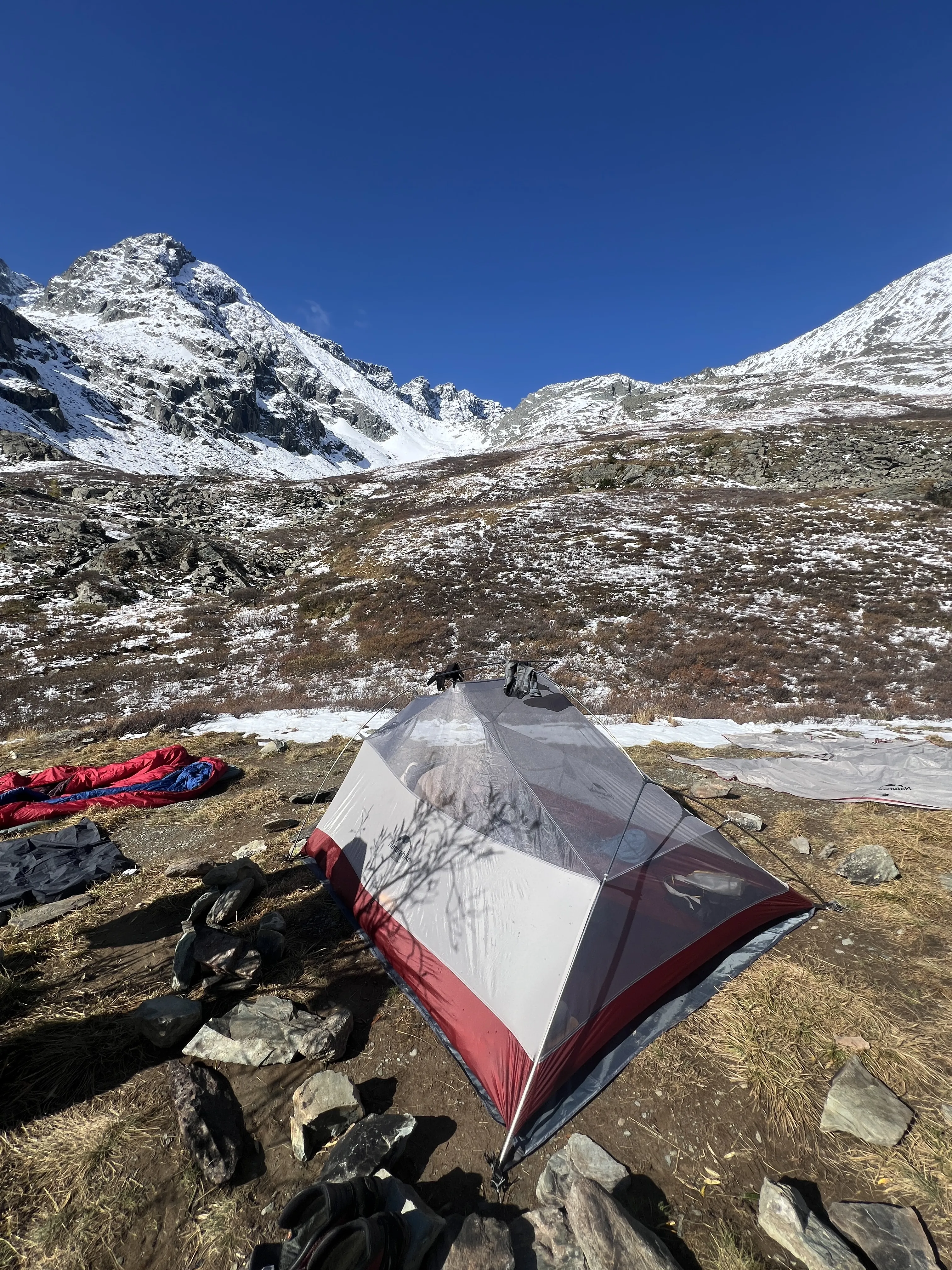 Катунские высокогорья (17/36)