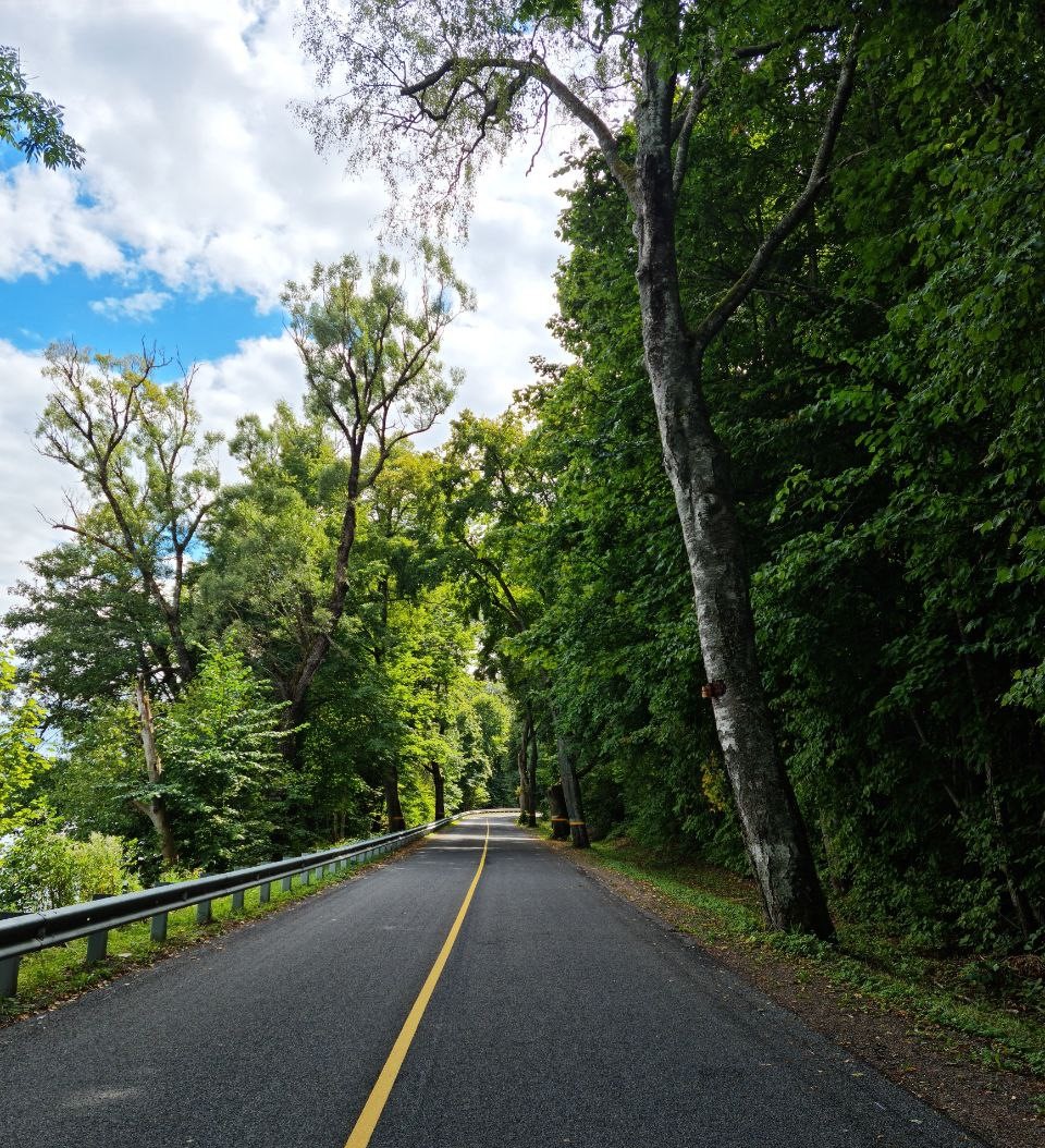 Колесо Обозрения (37/42)