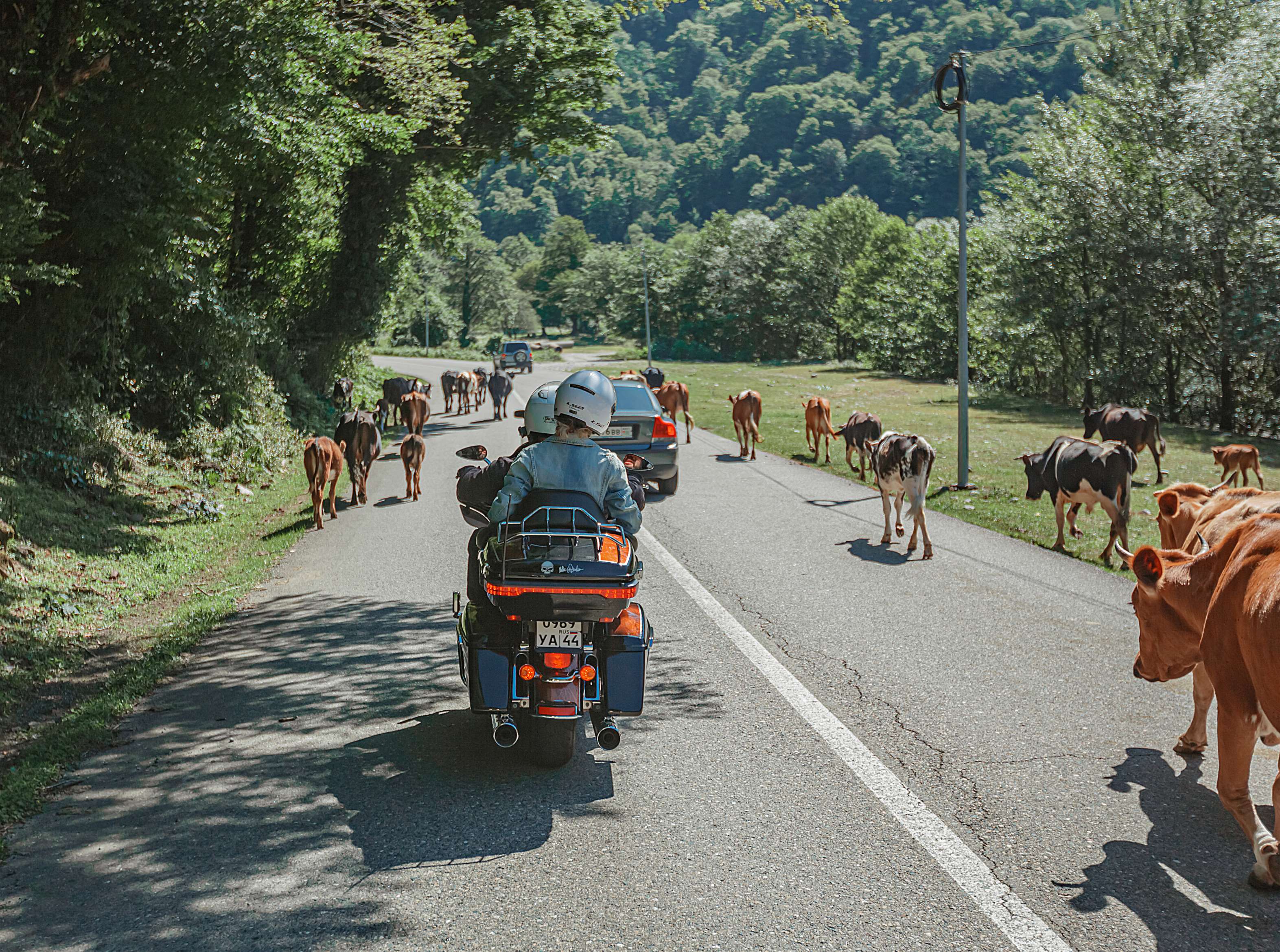 Пассажиром на мотоцикле Вся Абхазия за 1 день (2/13)