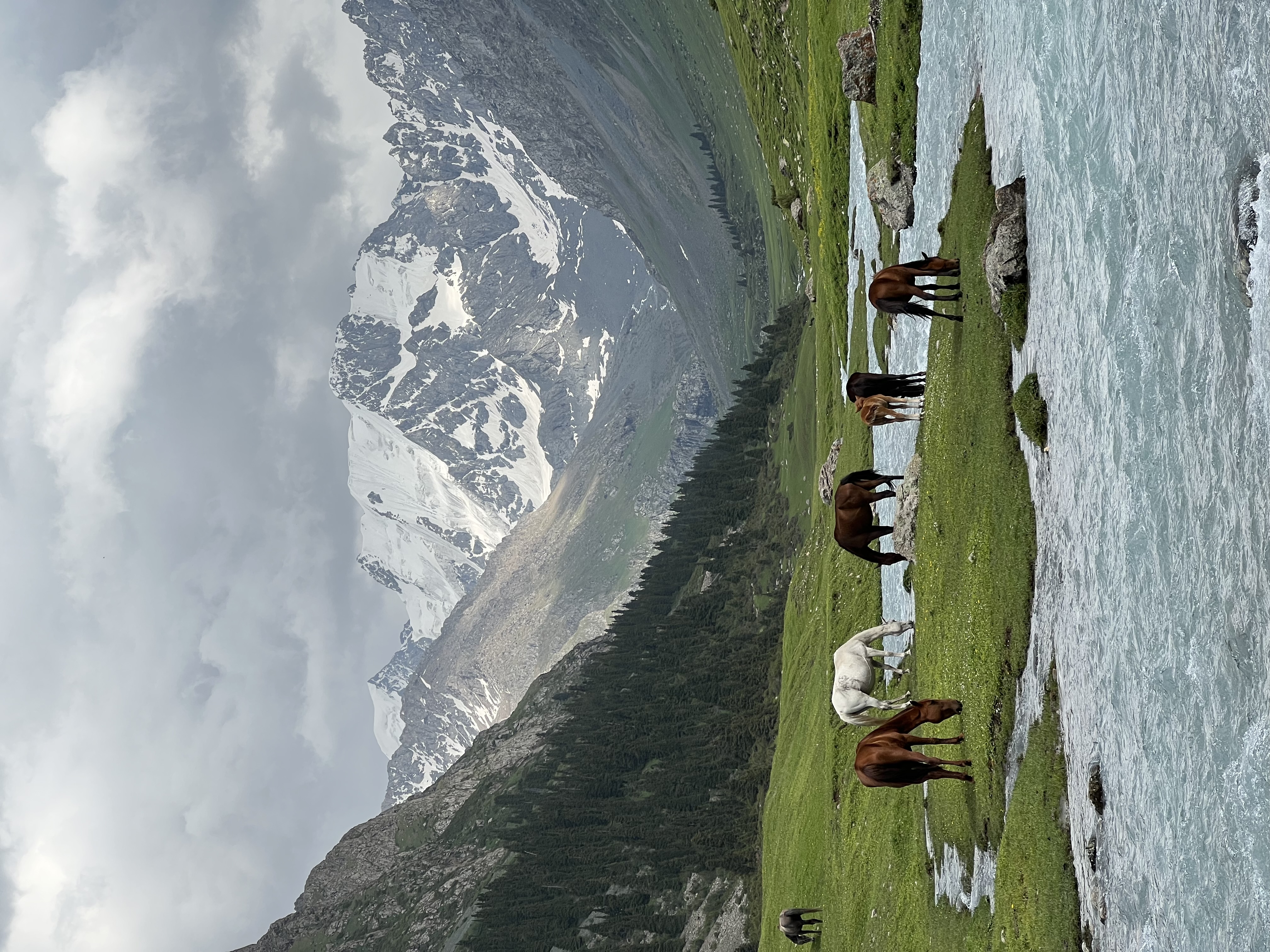 Кыргызстан за 4 дня - программа максимум!