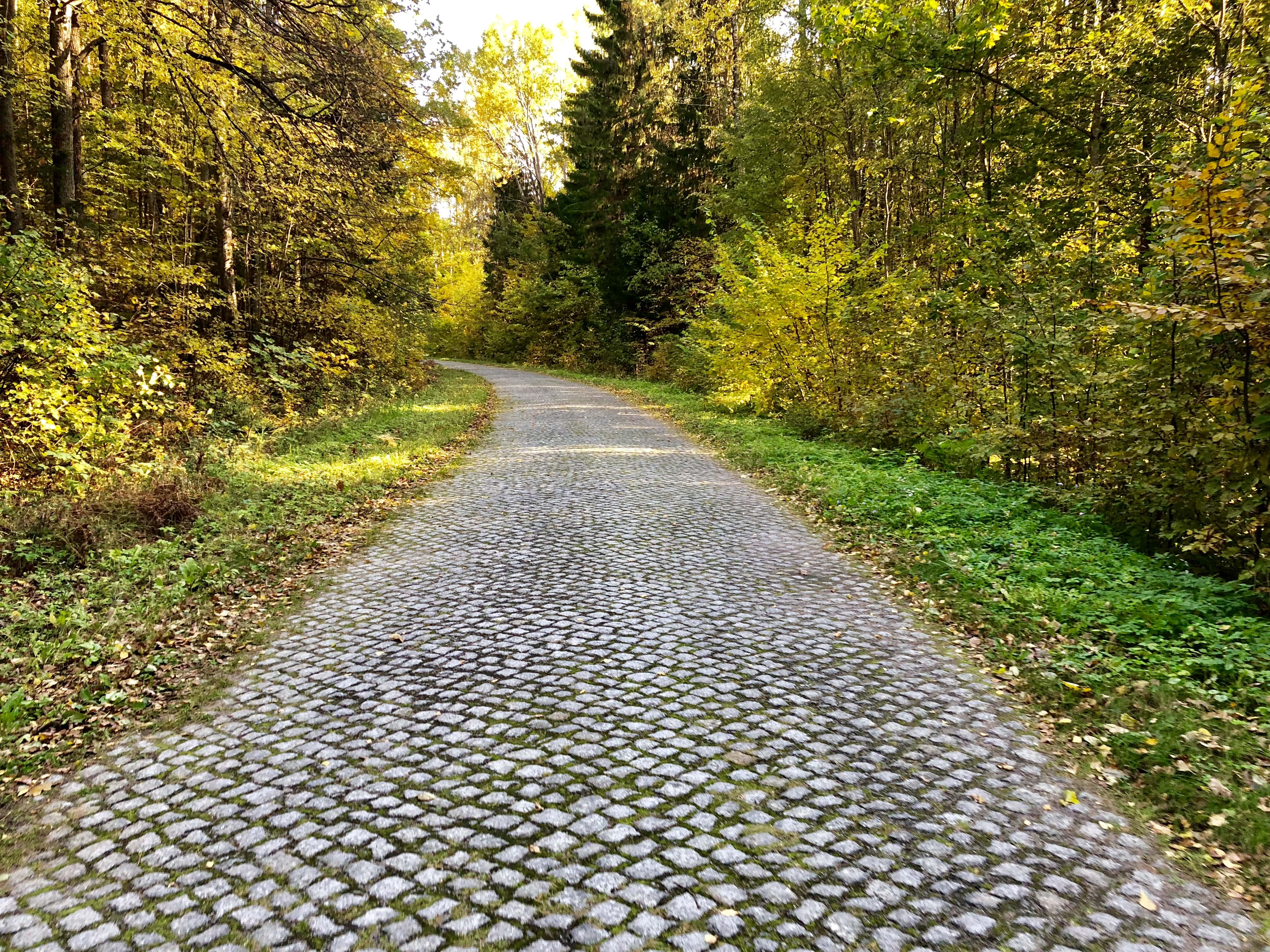 Колесо Обозрения (20/42)