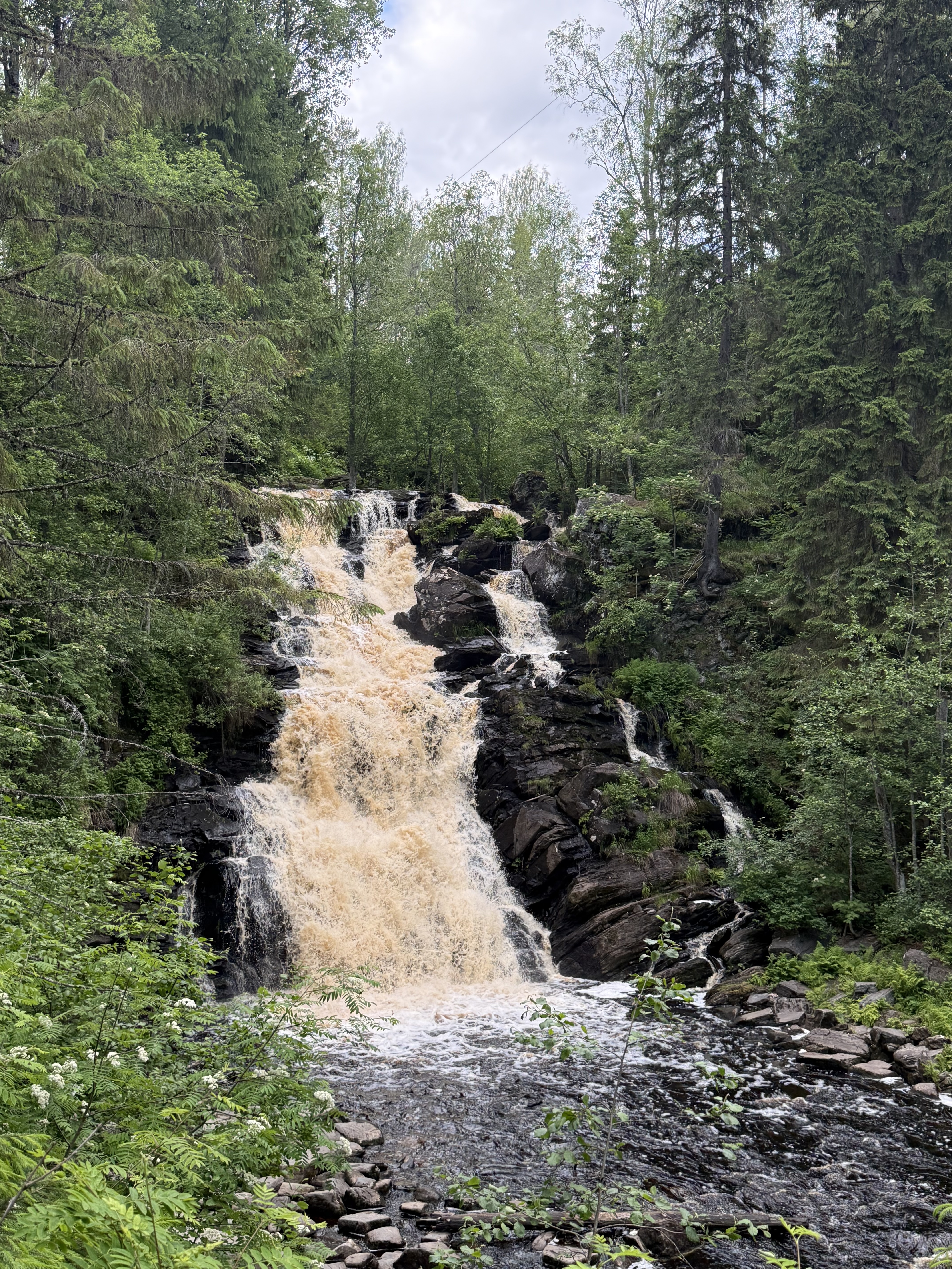 Петрозаводск - Первозданное Приладожье - Юканкоски