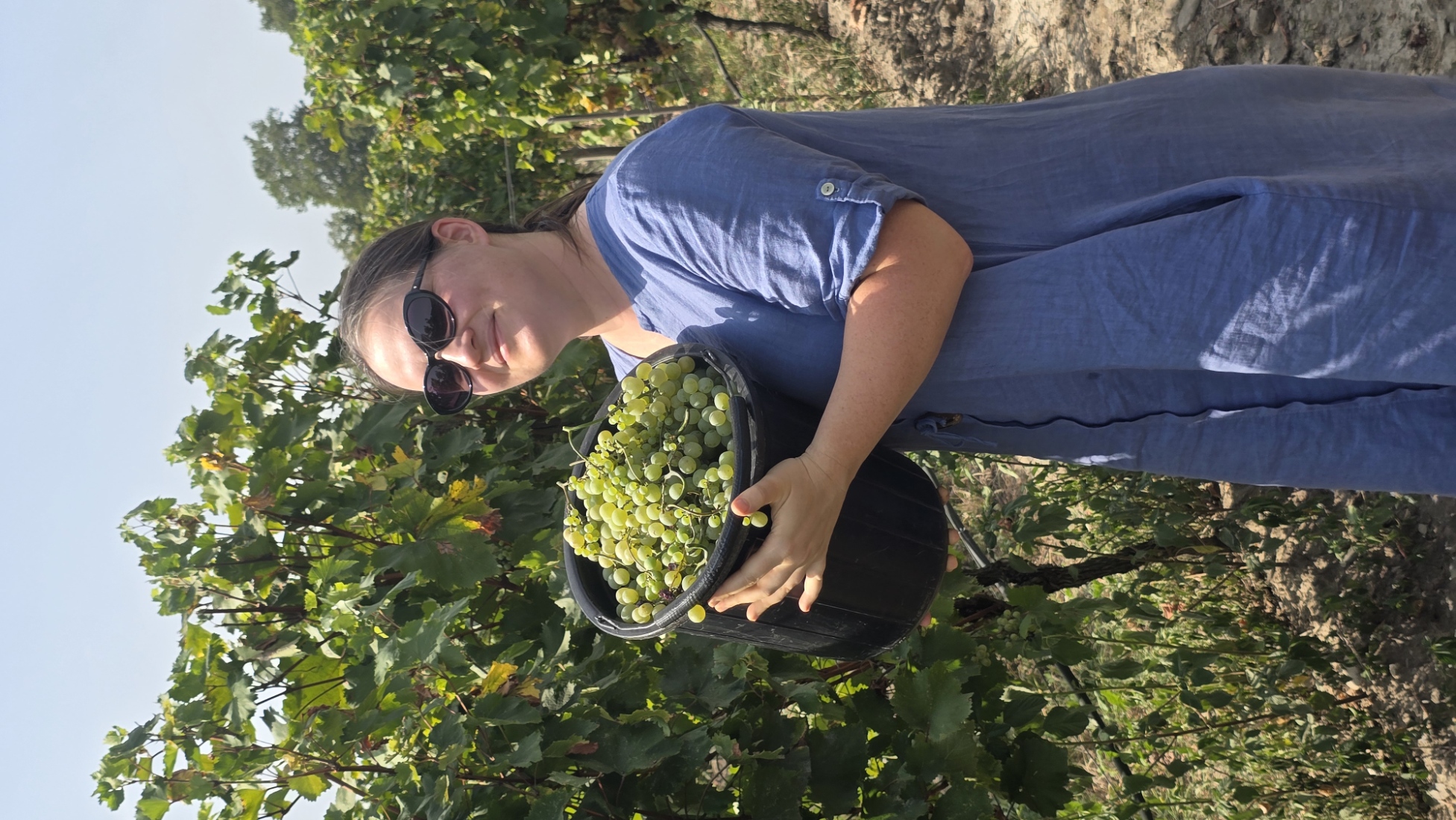 Ртвели  праздник урожая в Грузии. Осенний тематический тур (74/100)