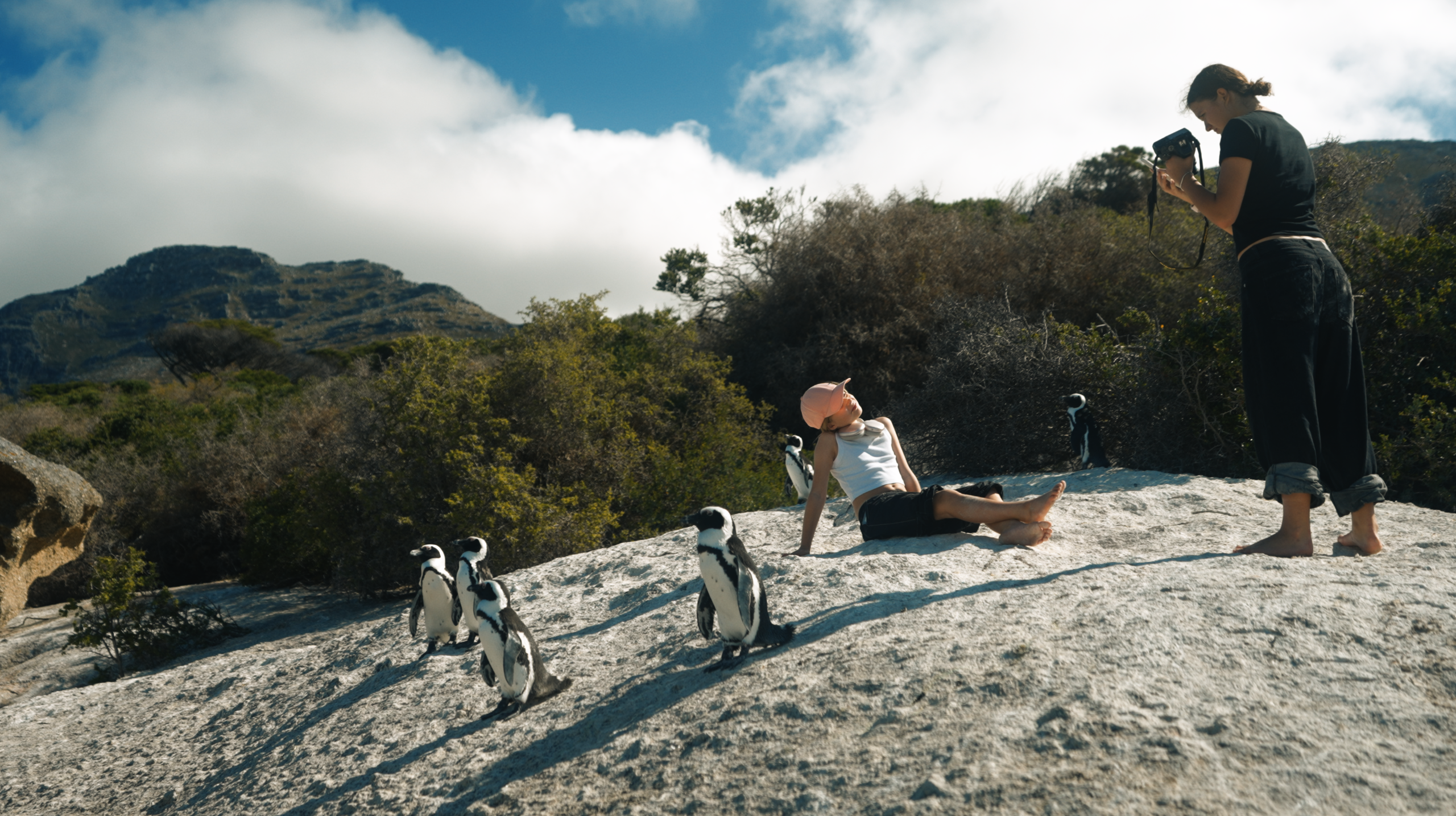 Юар: Кейптаун, киты, пингвины и винодельни (10/21)