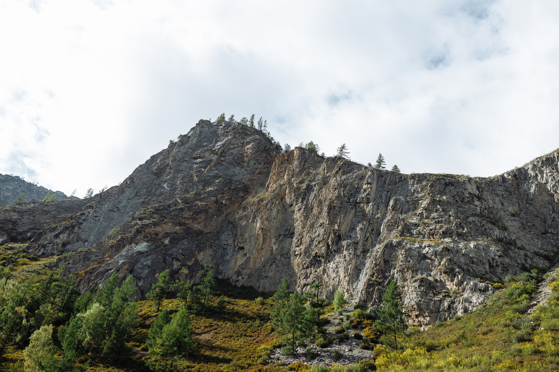 Катунские высокогорья (11/36)