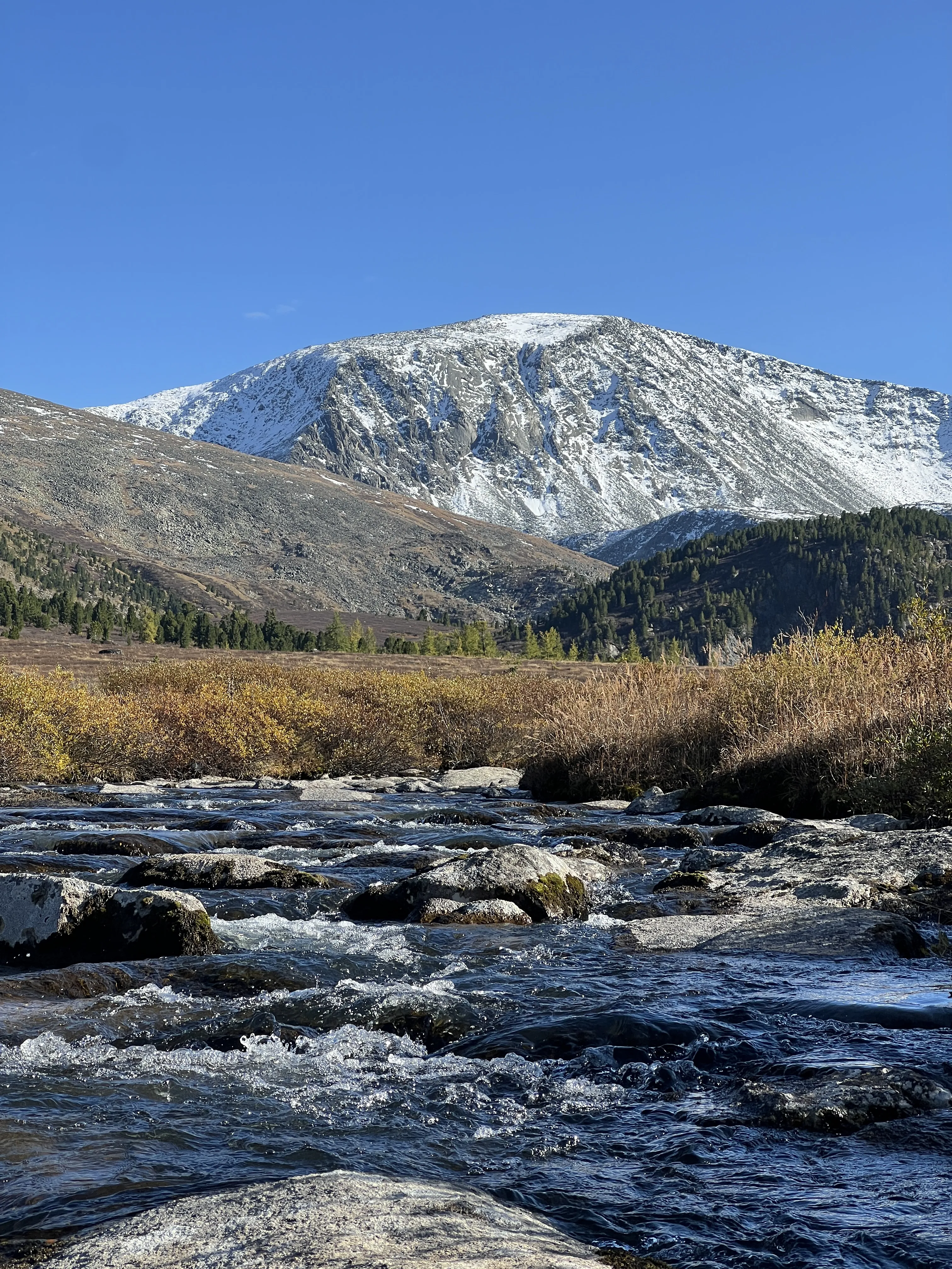 Катунские высокогорья (7/36)