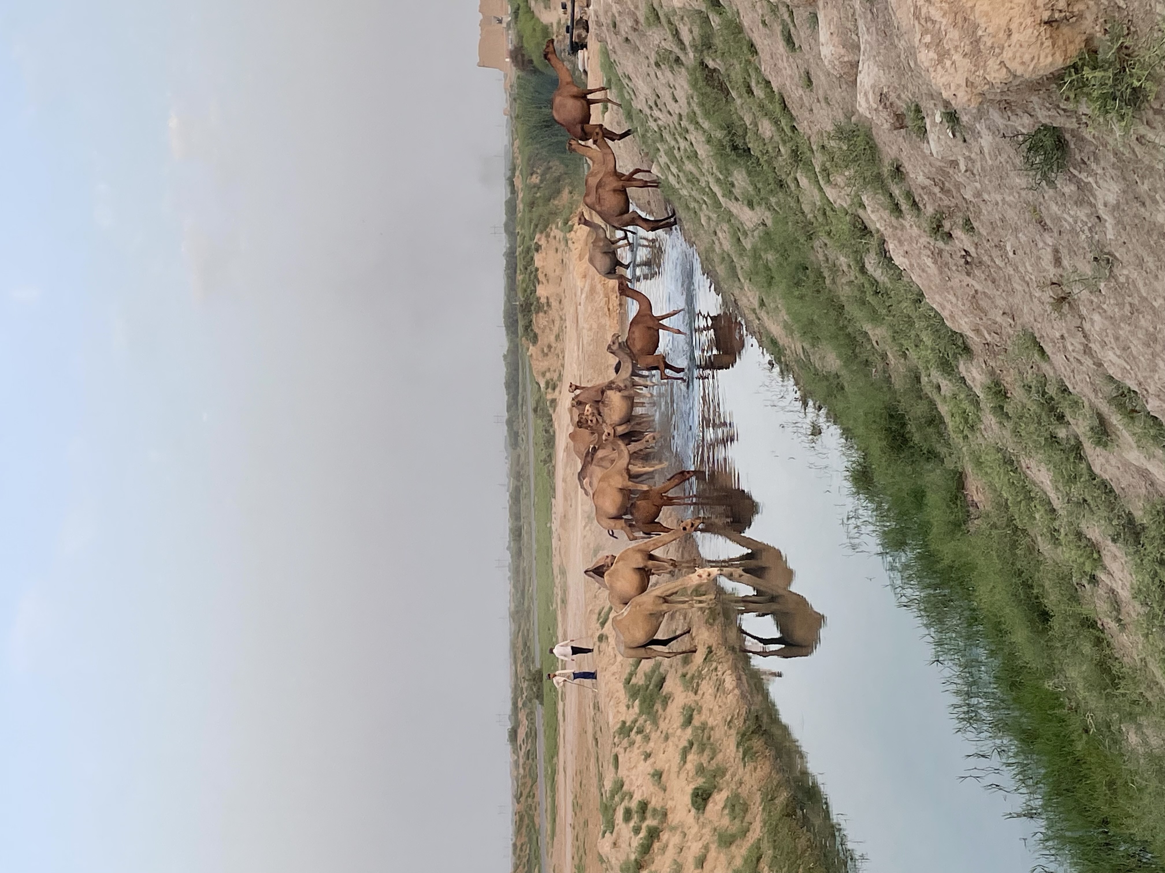 Легенды Туркменистана: 5 дней Всё включено! (7/9)