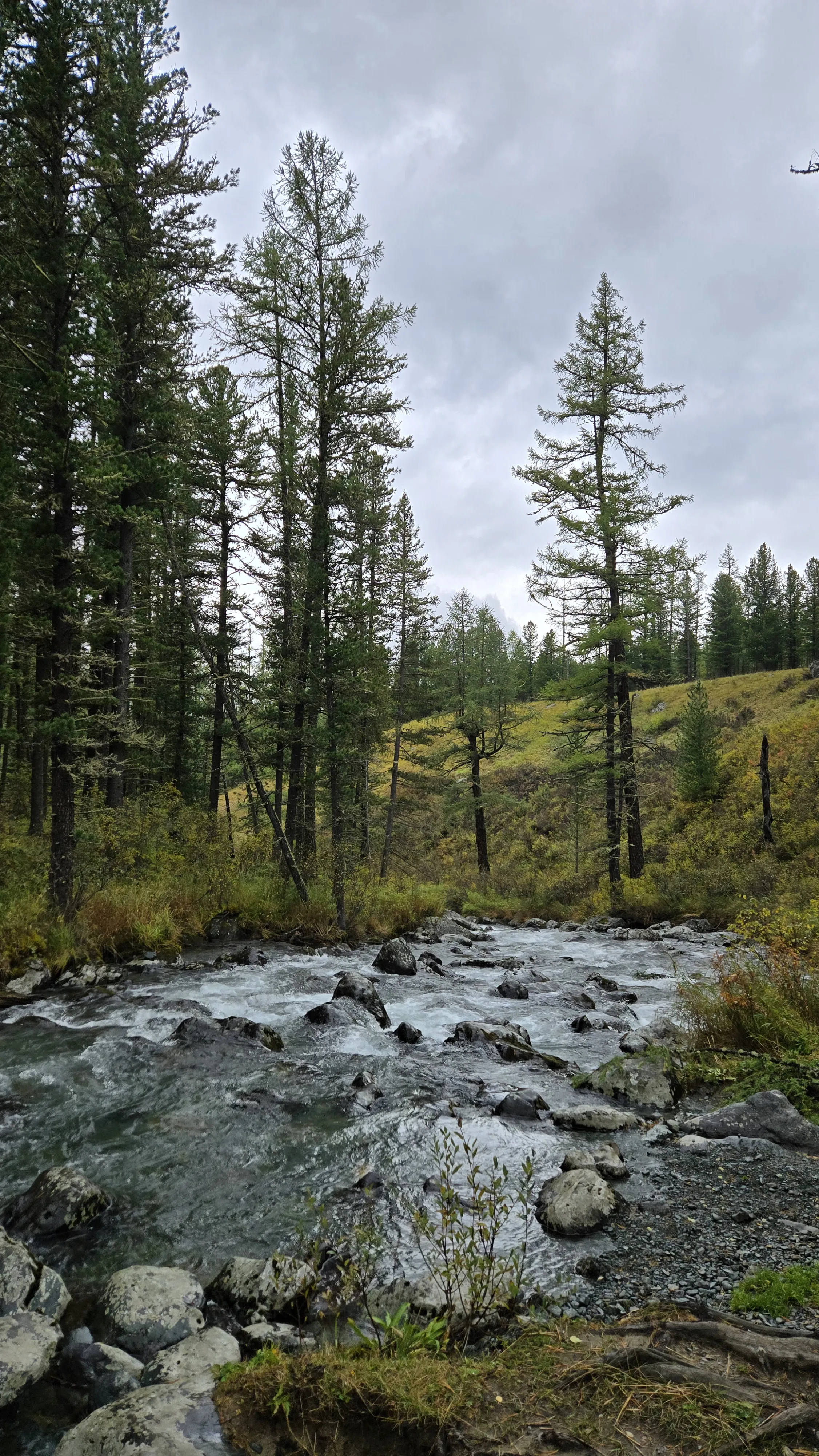 Катунские высокогорья (9/36)