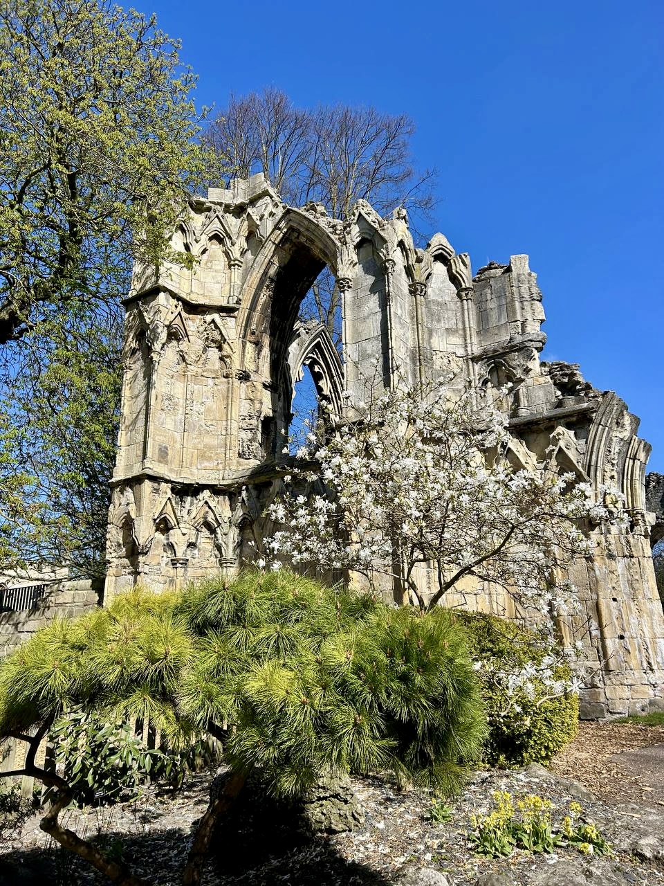 Англия-Шотландия-Ирландия-(Уэльс)  15 дней (10/45)