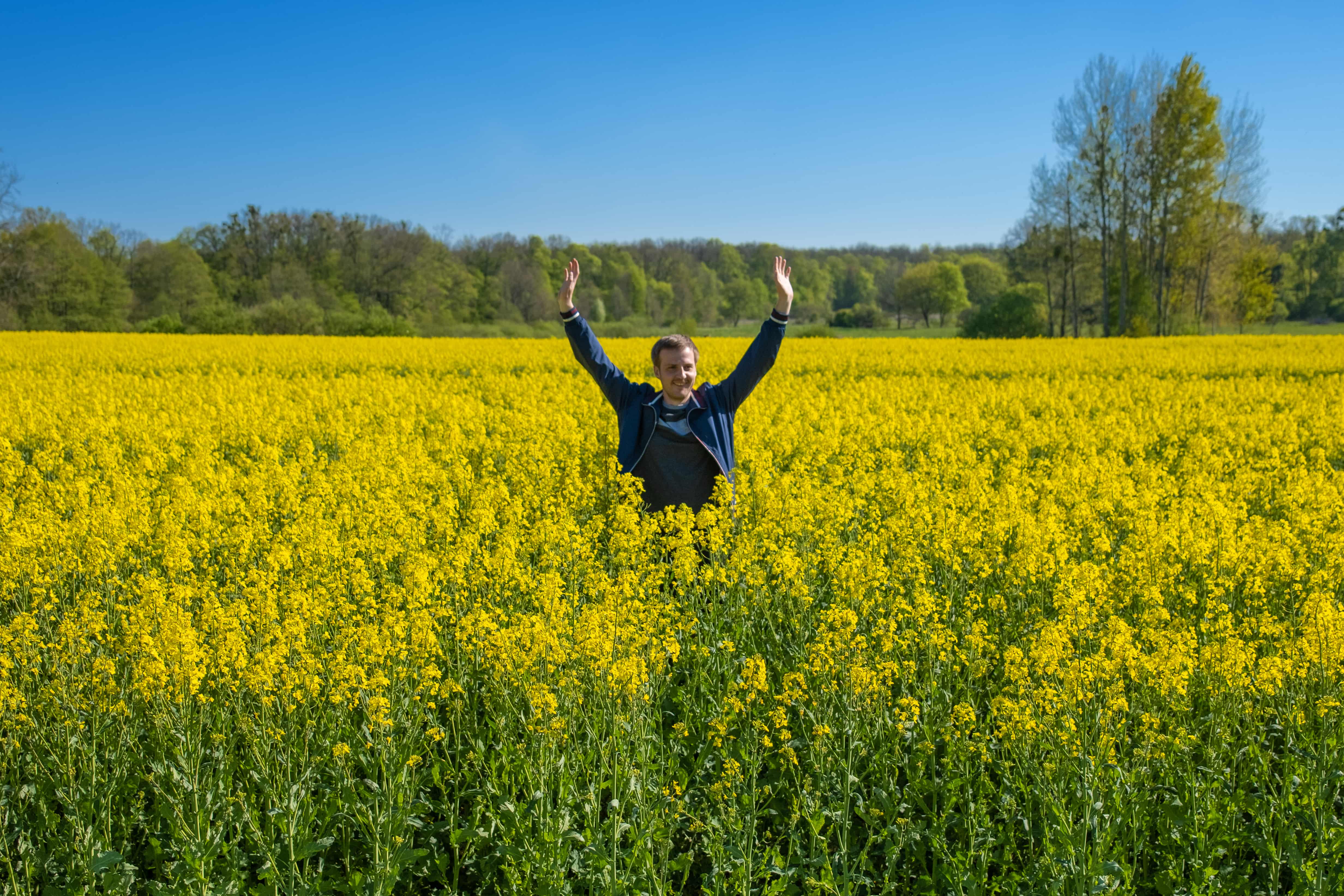 Колесо Обозрения (29/42)