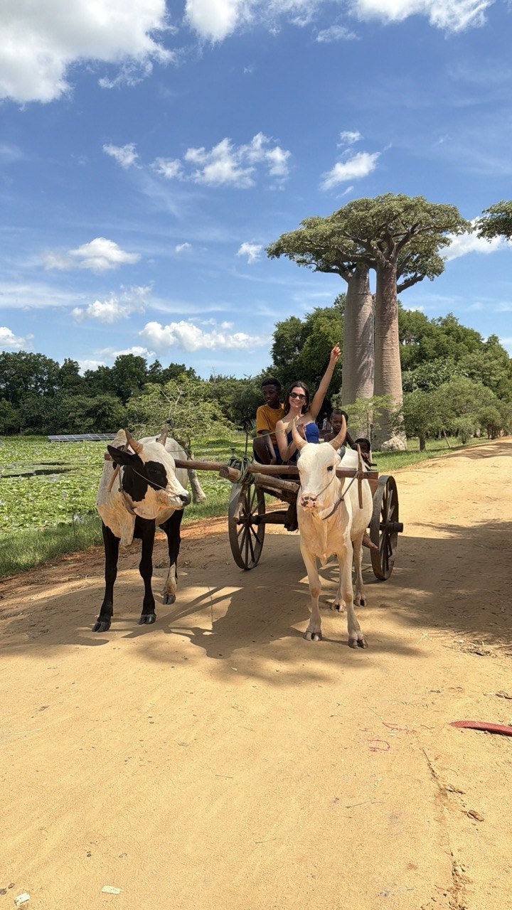 10 дней главные места Мадагаскара Цинги - Баобабы - Андасибе (22/57)