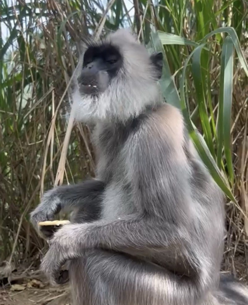 Легенды древних скал и бирюзовый океан за  9 дней (7/15)