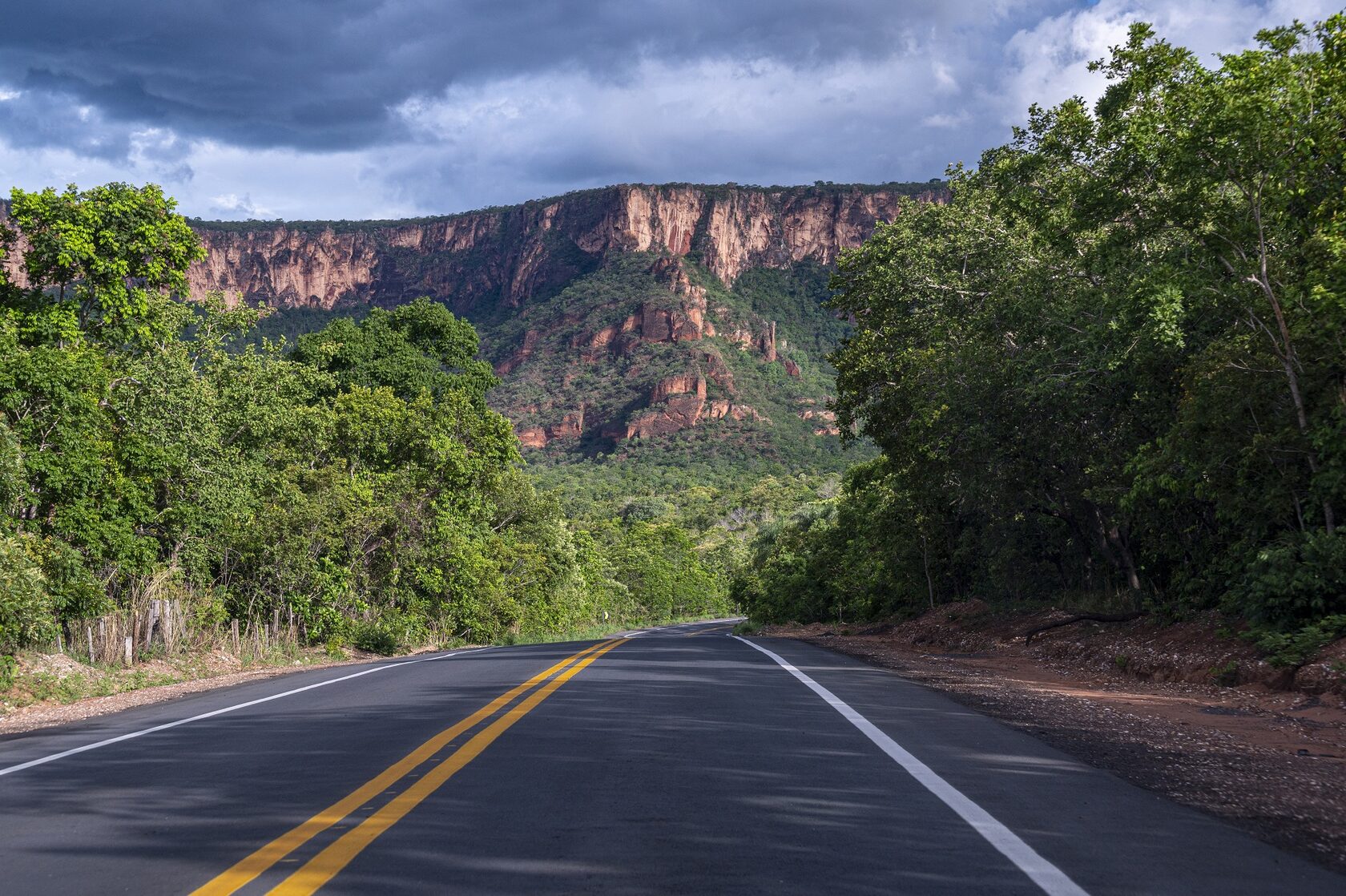 Пантанал. Экспедиция с Алексом Мзунгу от Серрадо до Пантанала (14/19)
