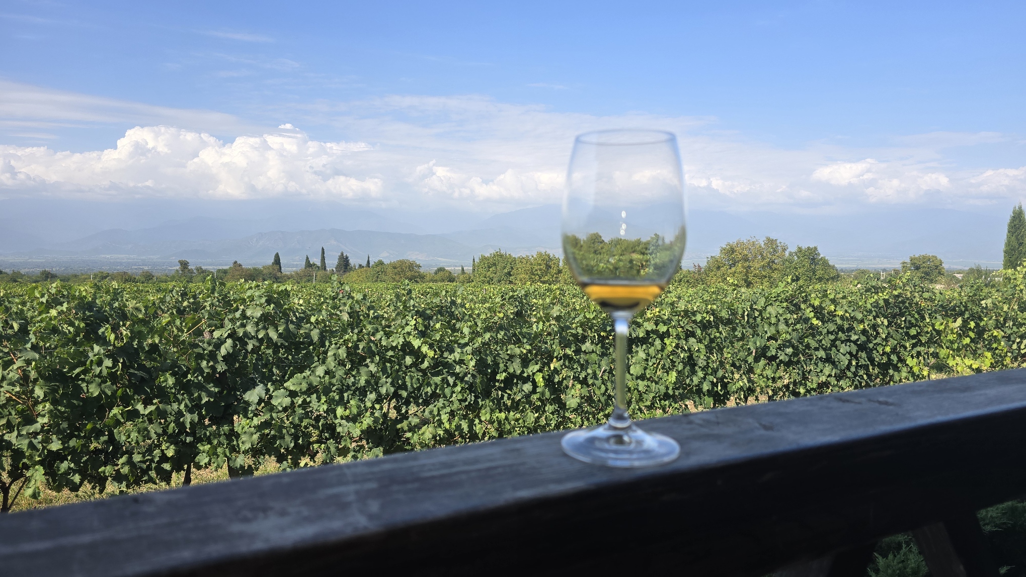 Ртвели  праздник урожая в Грузии. Осенний тематический тур (71/100)