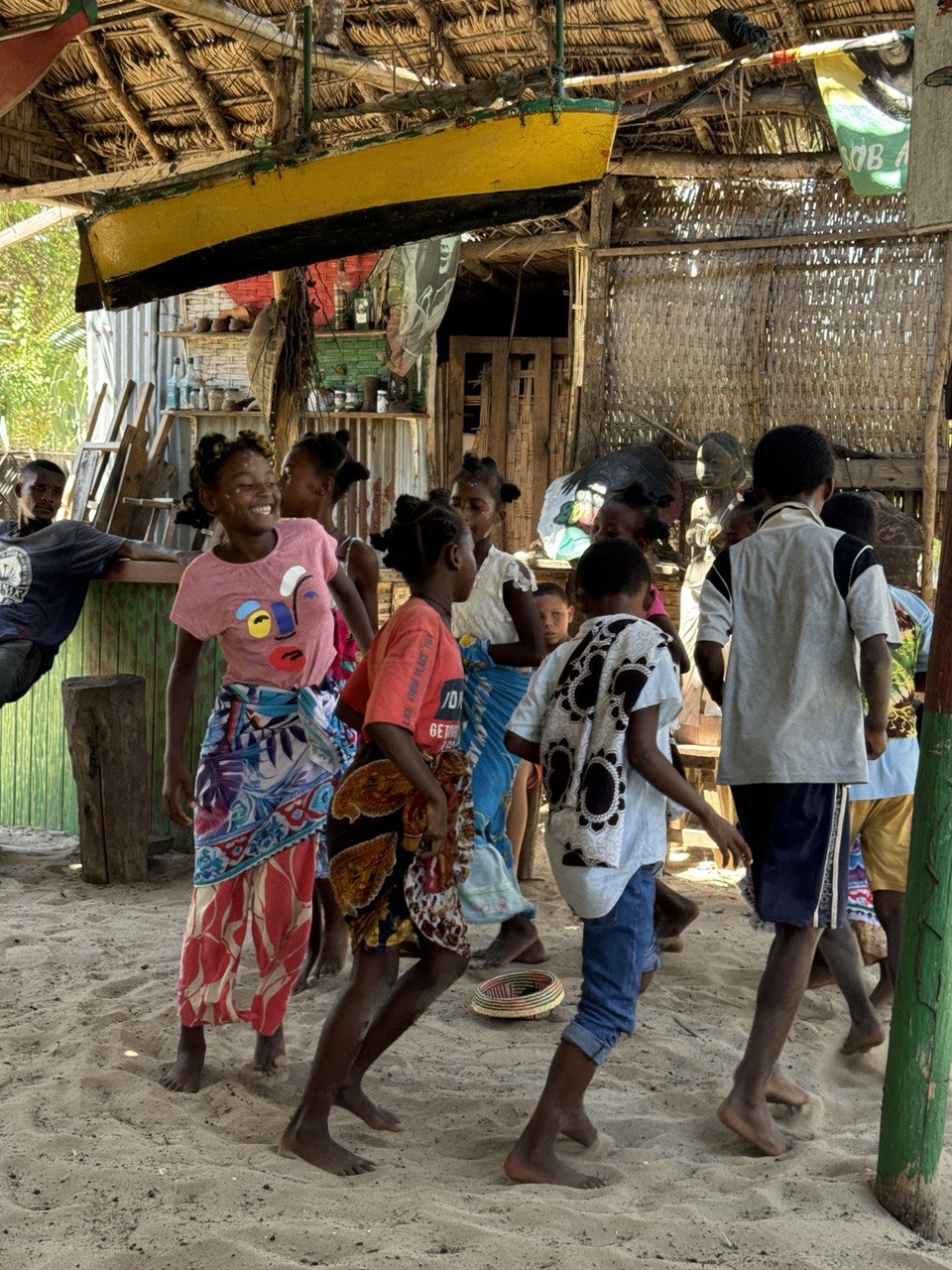 10 дней главные места Мадагаскара Цинги - Баобабы - Андасибе (18/57)