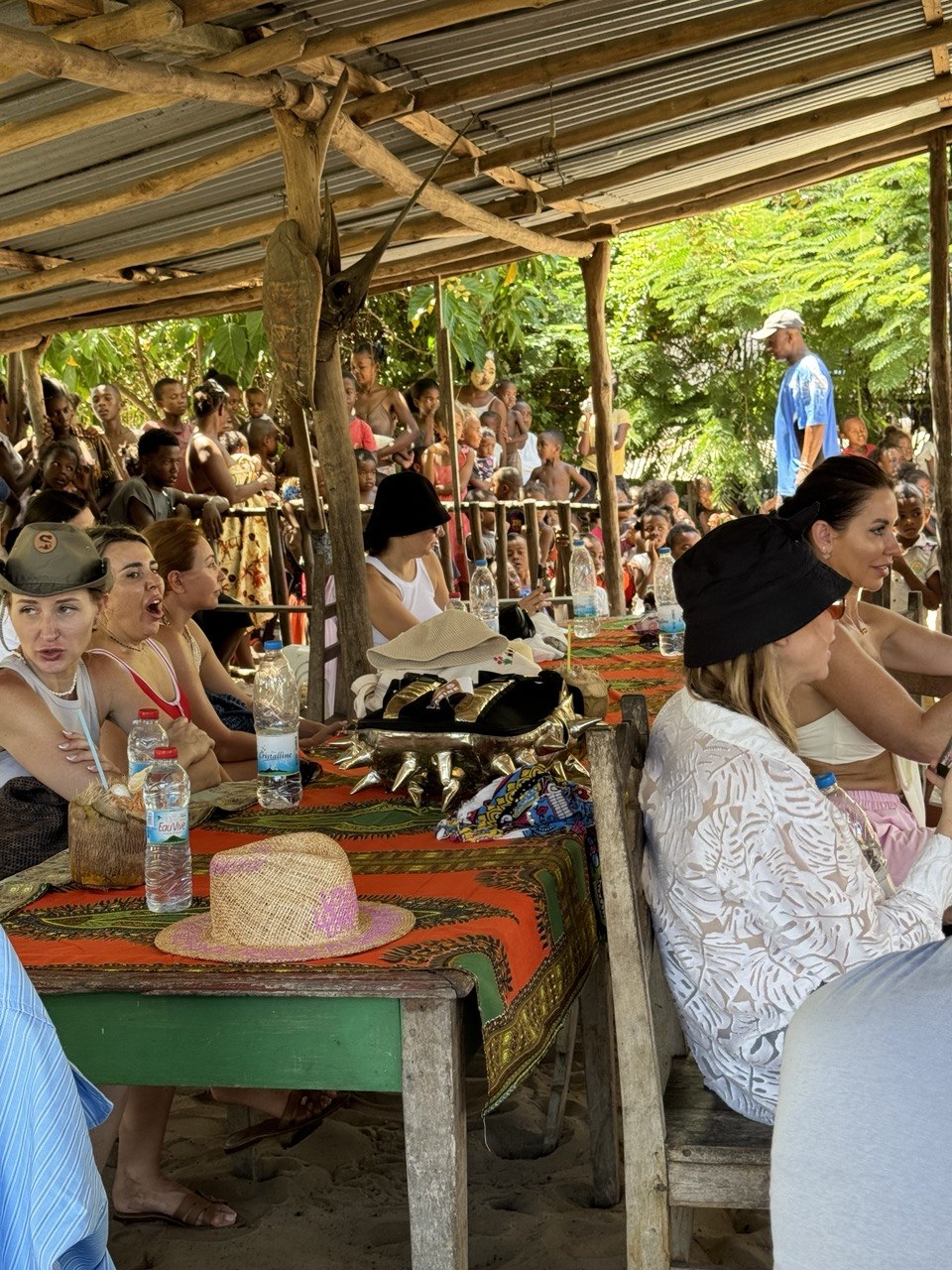 10 дней главные места Мадагаскара Цинги - Баобабы - Андасибе (26/57)