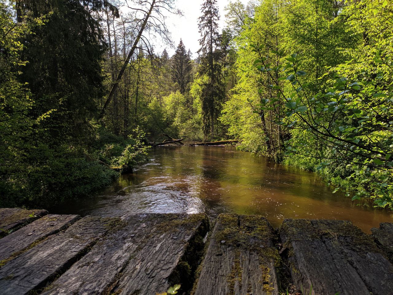 Колесо Обозрения (21/42)