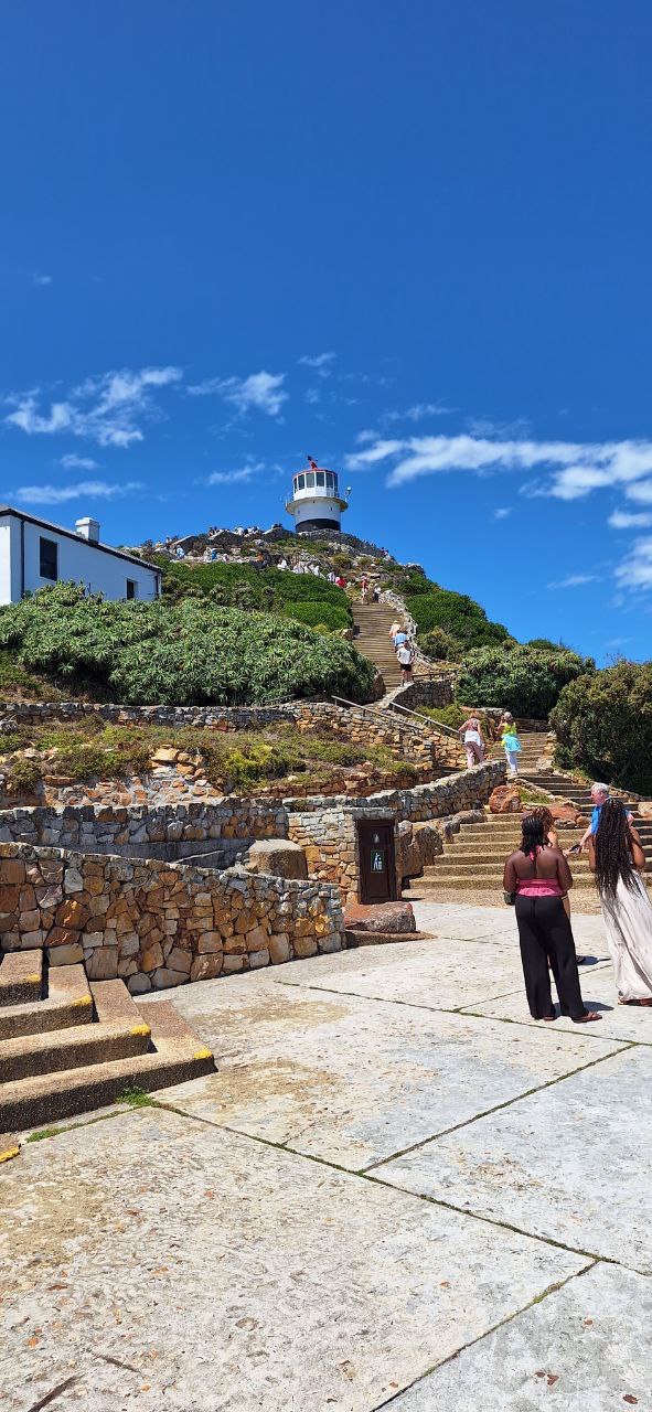 Дорога вдоль океана: Чапменс-Пик, Мыс Доброй Надежды и Пингвины (6/14)