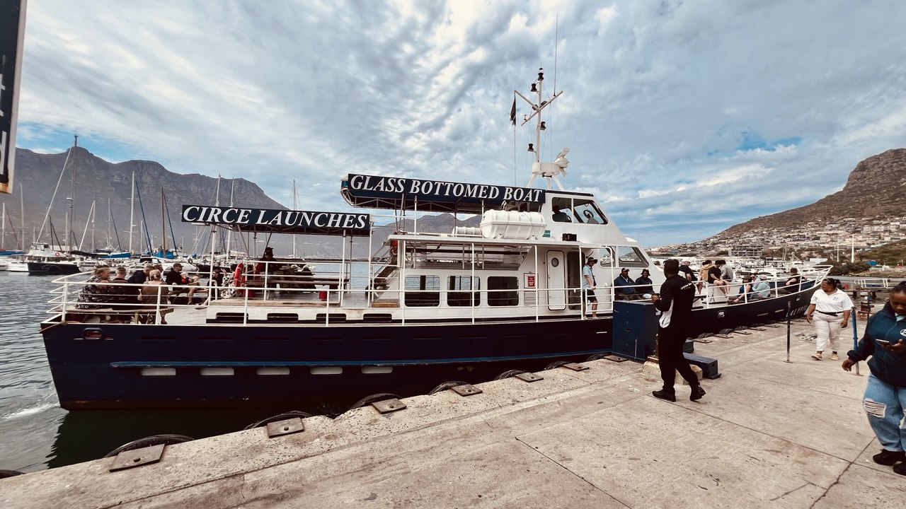 Дорога вдоль океана: Чапменс-Пик, Мыс Доброй Надежды и Пингвины (3/14)