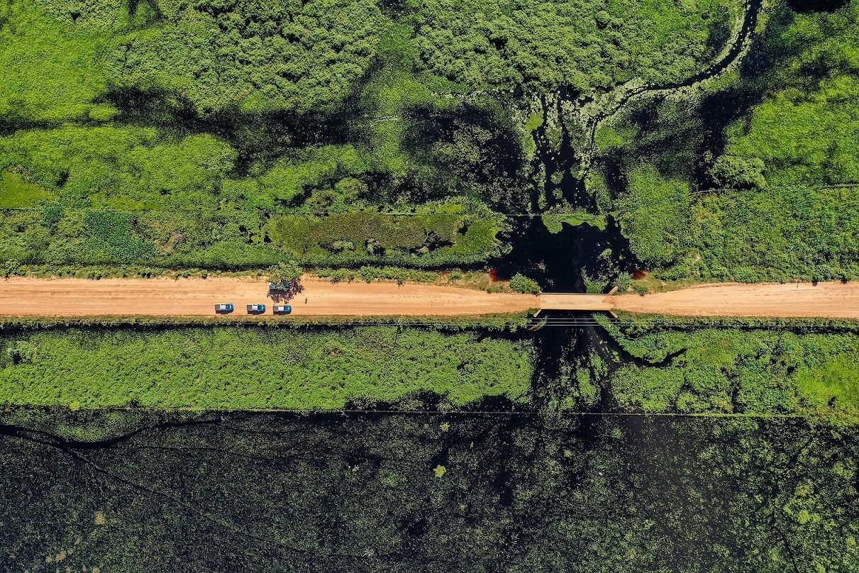 Пантанал. Экспедиция с Алексом Мзунгу от Серрадо до Пантанала (19/19)