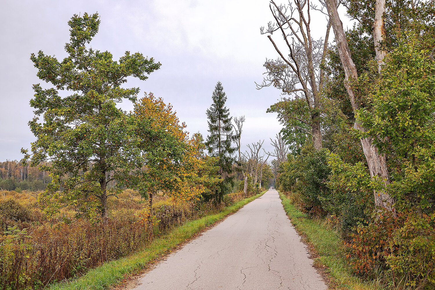 Колесо Обозрения (27/42)