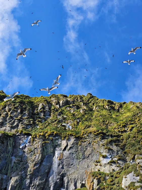 Кунашир: 7 чудес острова (16/22)