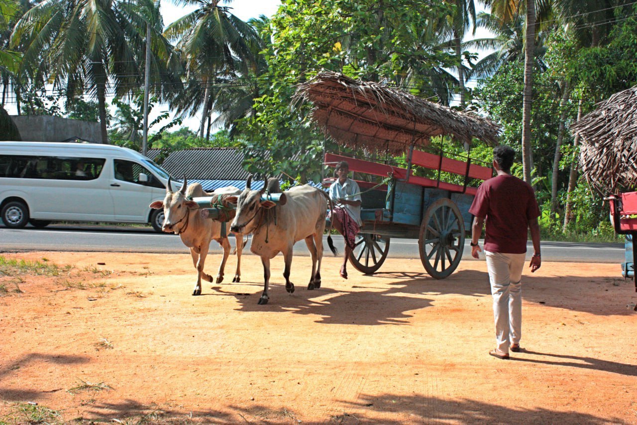 Легенды древних скал и бирюзовый океан за  9 дней (8/15)