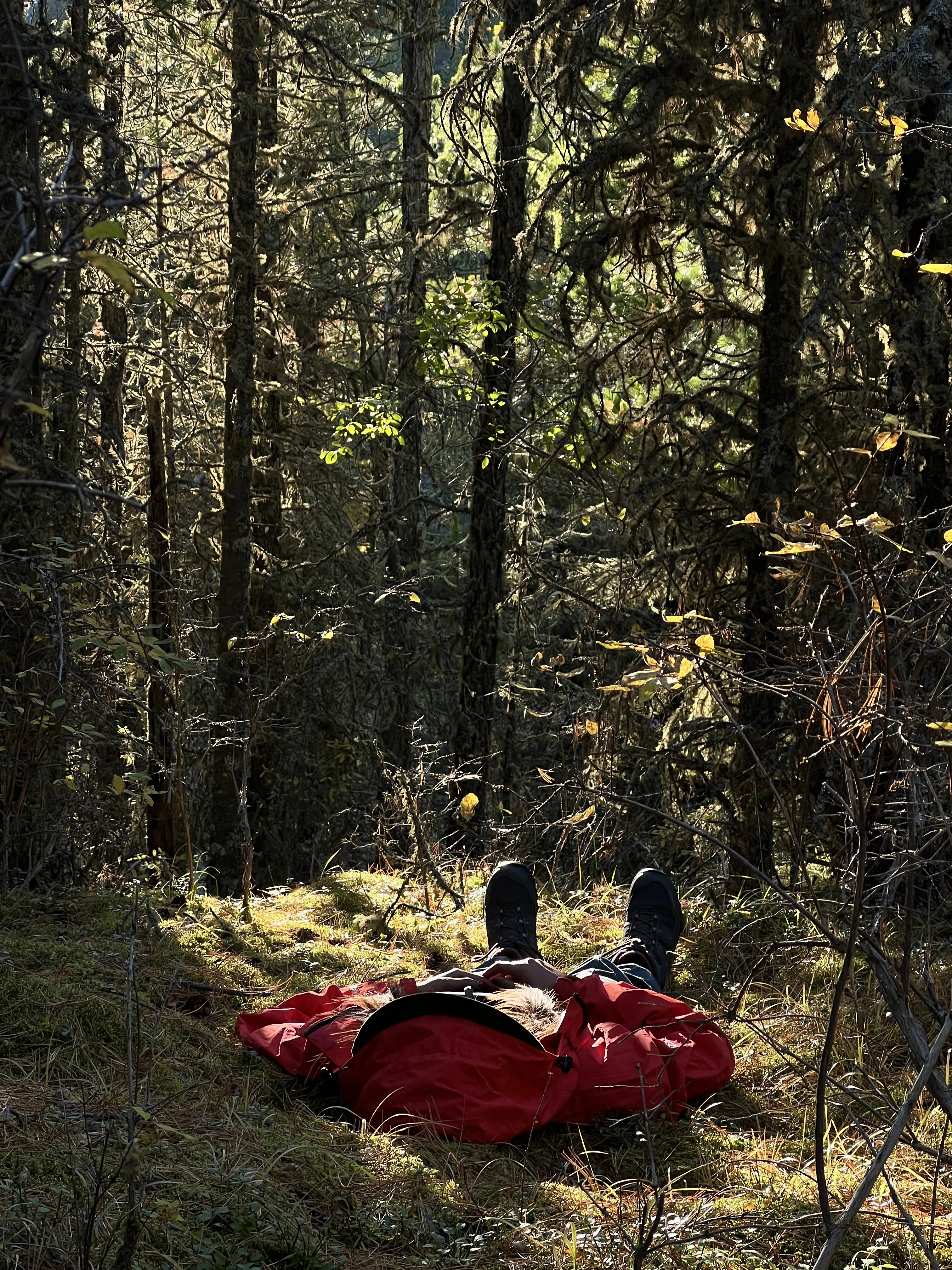 Катунские высокогорья (6/36)