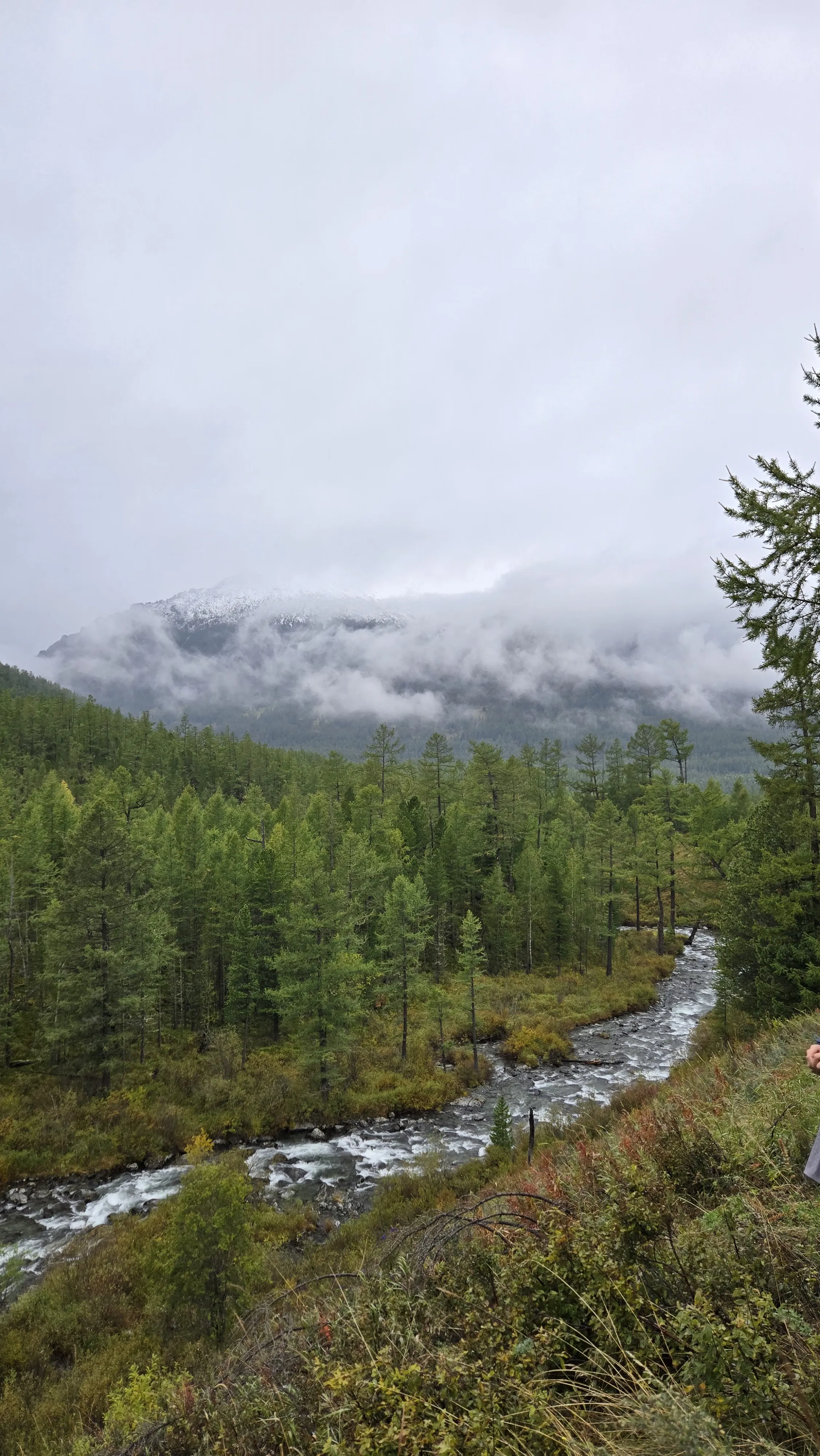 Катунские высокогорья (13/36)