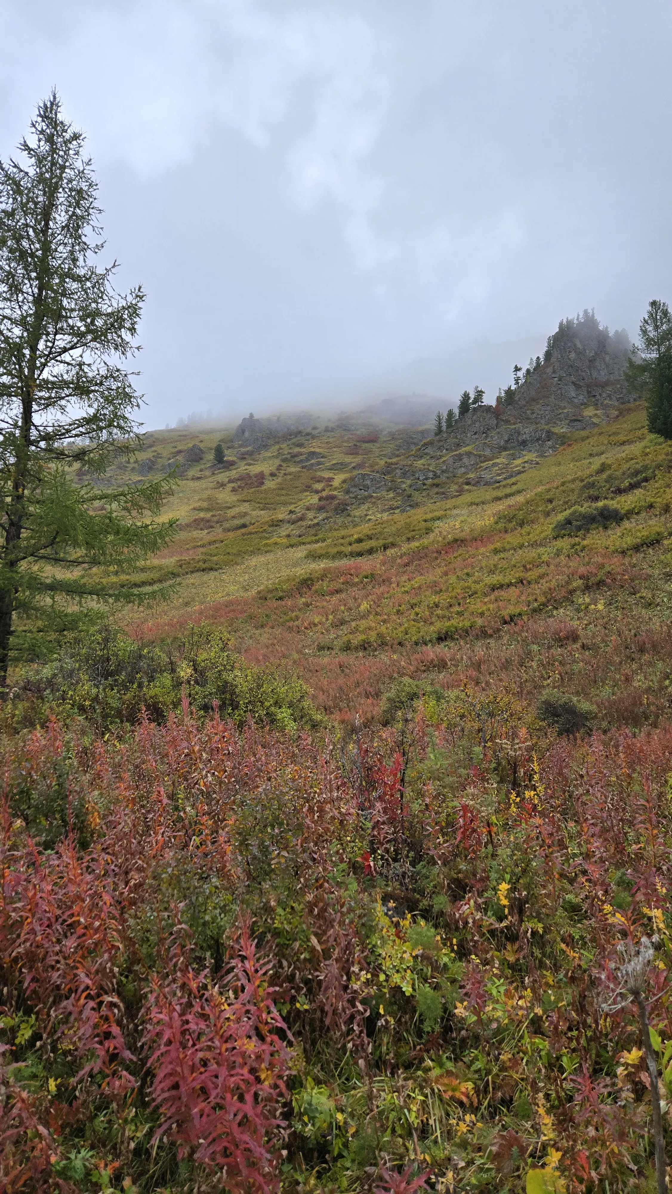 Катунские высокогорья (8/36)