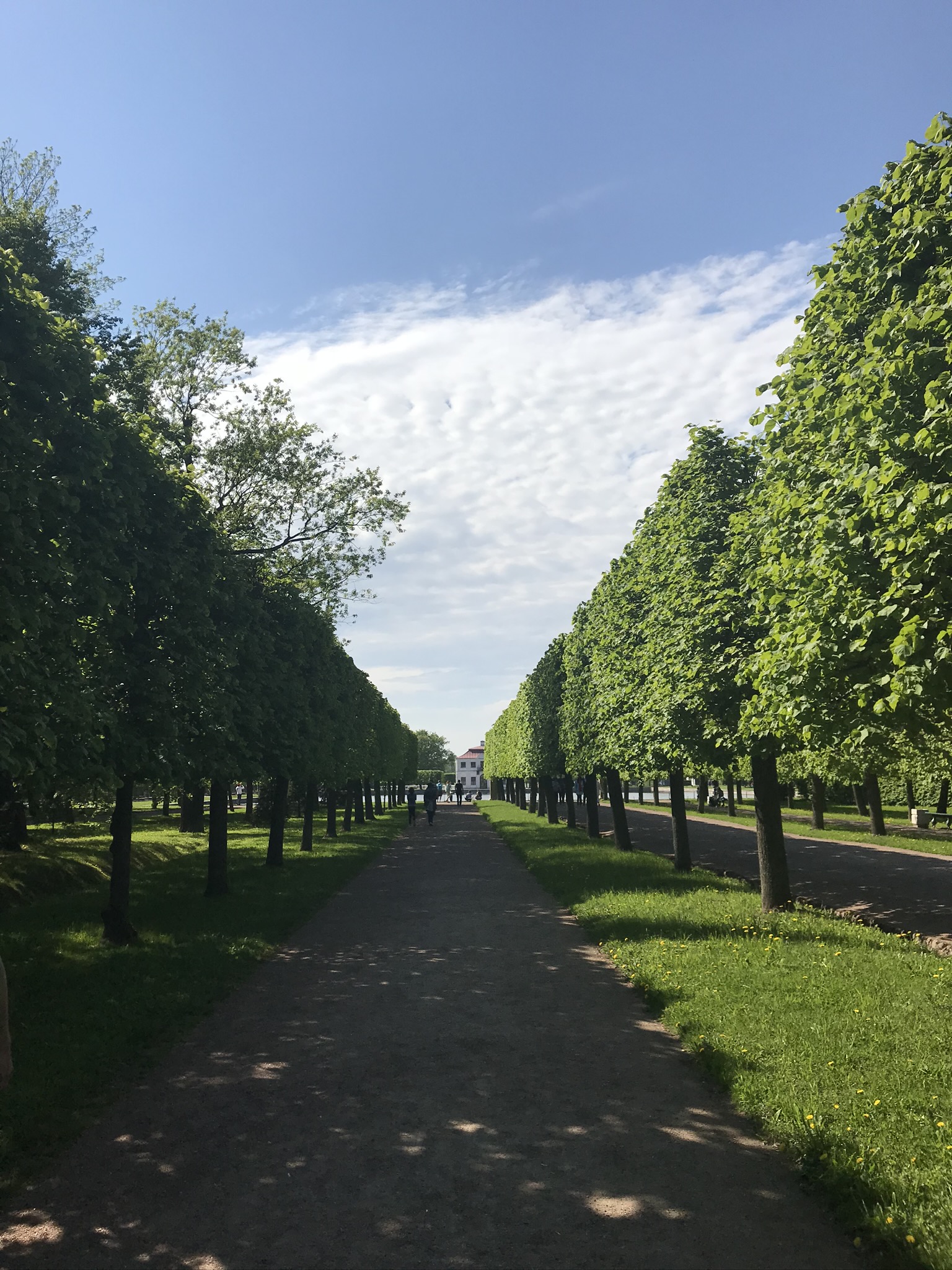 Экскурсия в Петергоф с Большим Дворцом, Малым дворцом и Нижним парком (10/10)