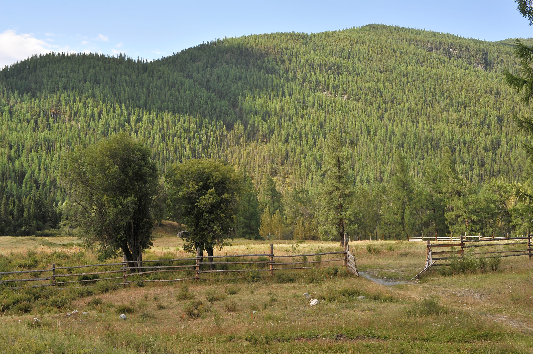 Алтай. Жизнь — Река. Экспедиция на плато Укок. (32/49)